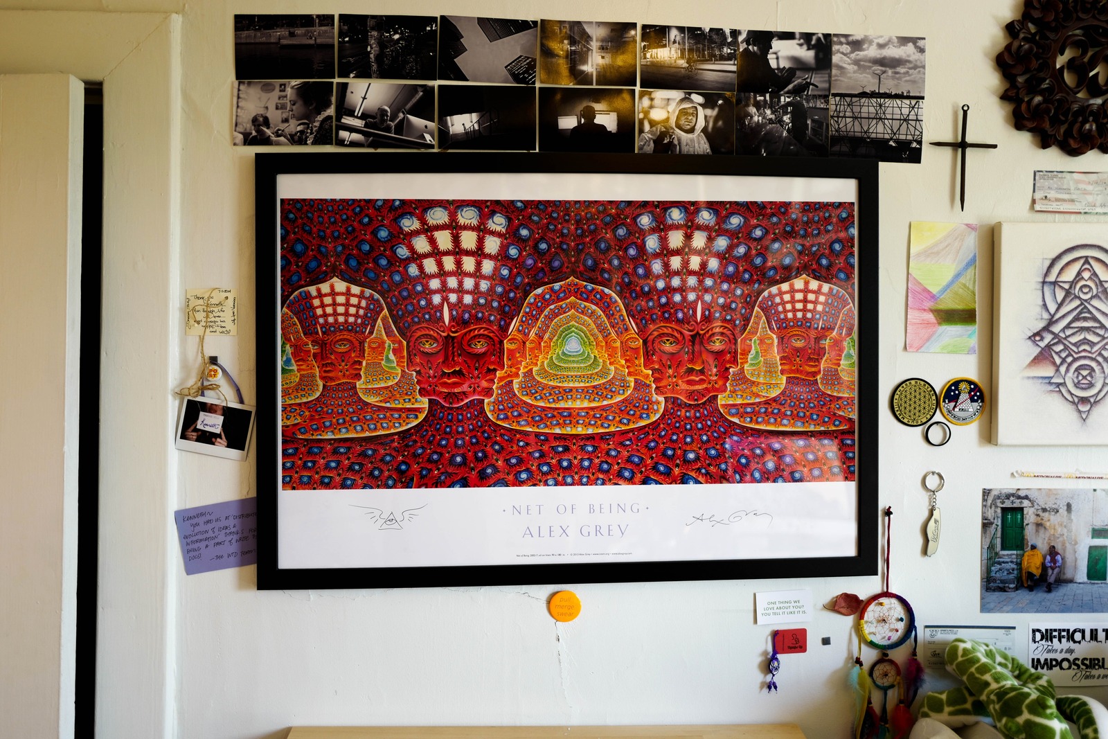 Framed Vibrance on the Wall