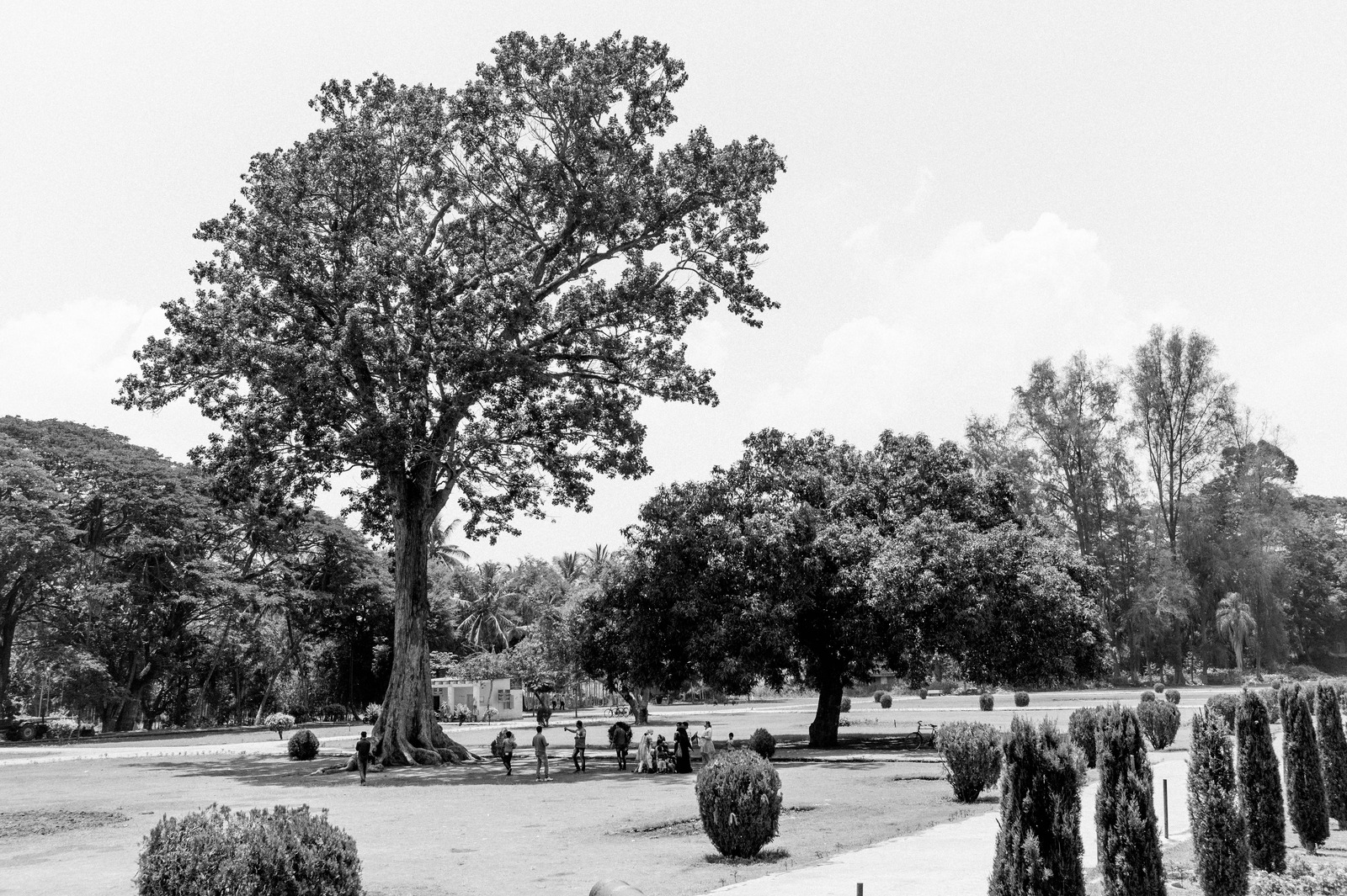 Quiet Respite in Nature