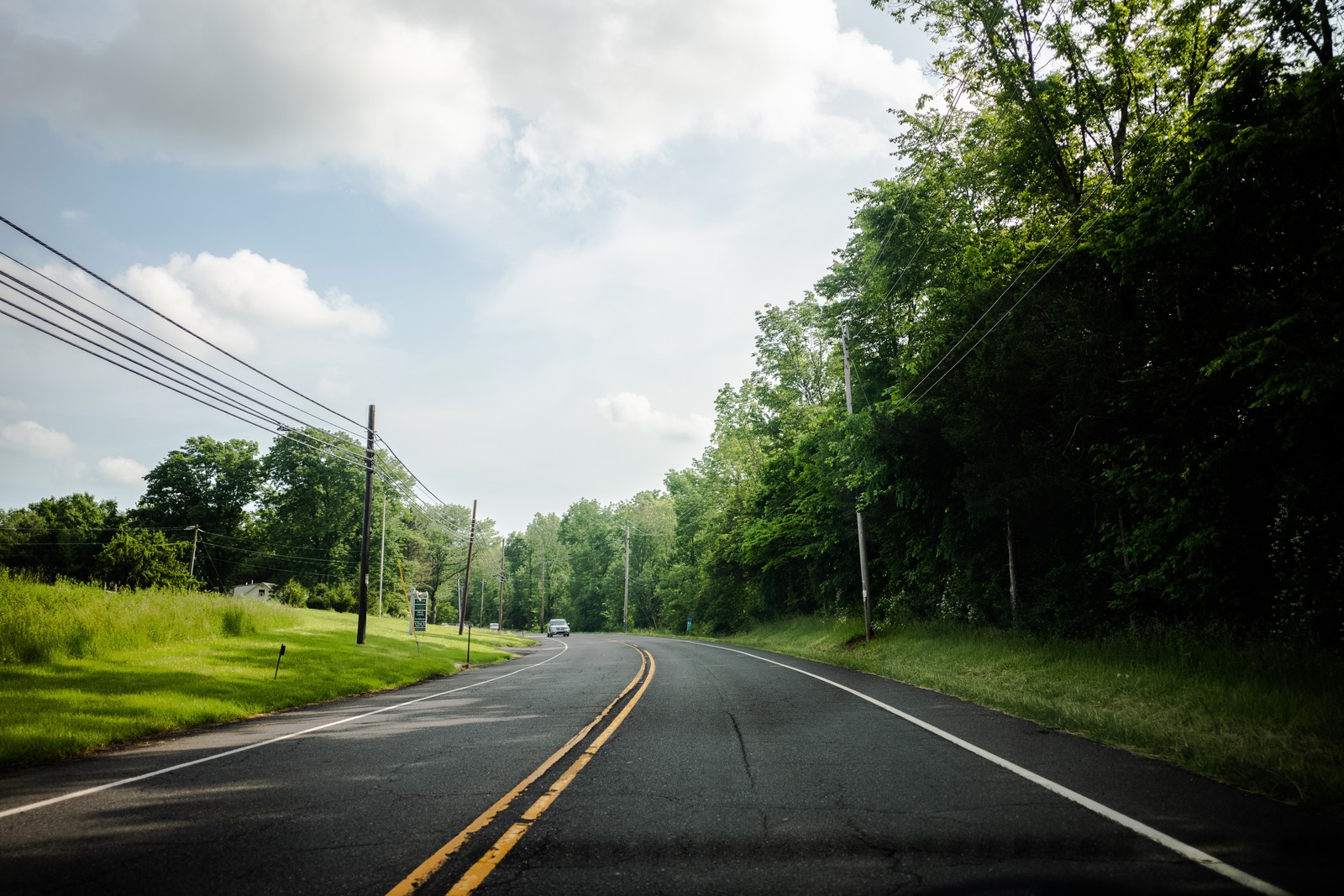 Winding Road Through Nature