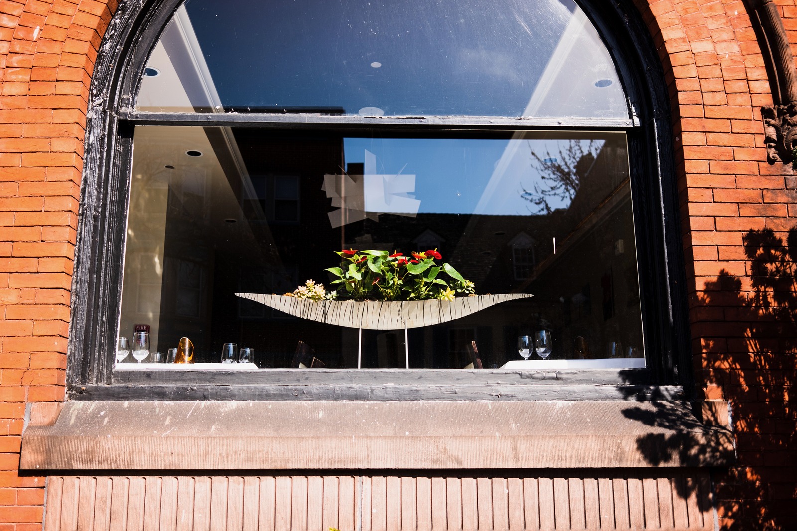 Reflections in the Window