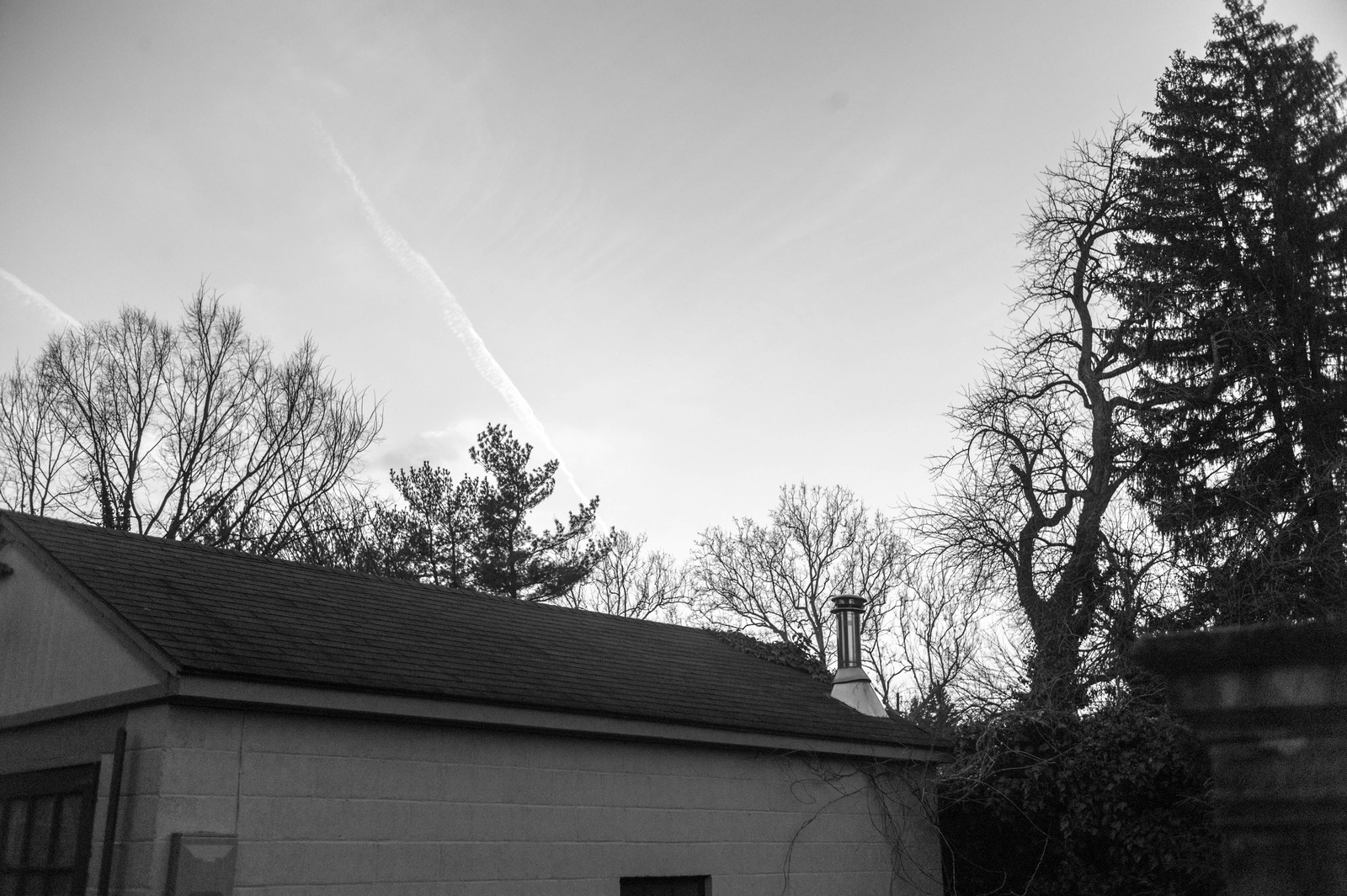 Quiet Winter Evening