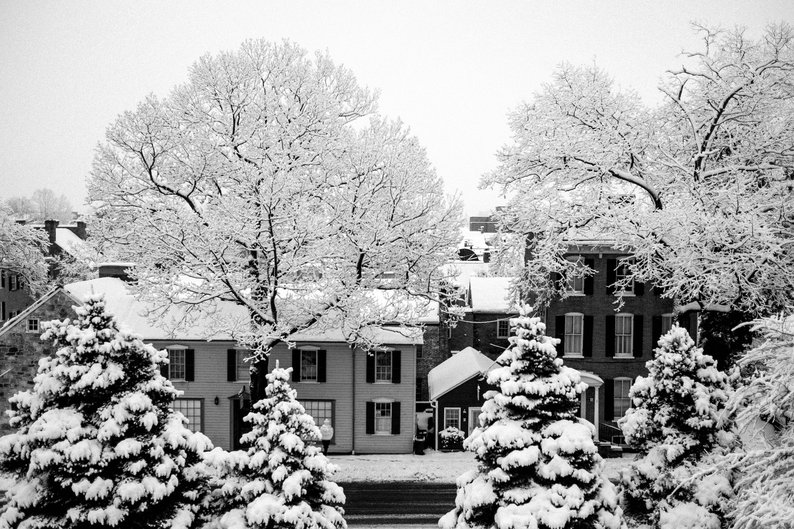 Winter's Quiet Embrace