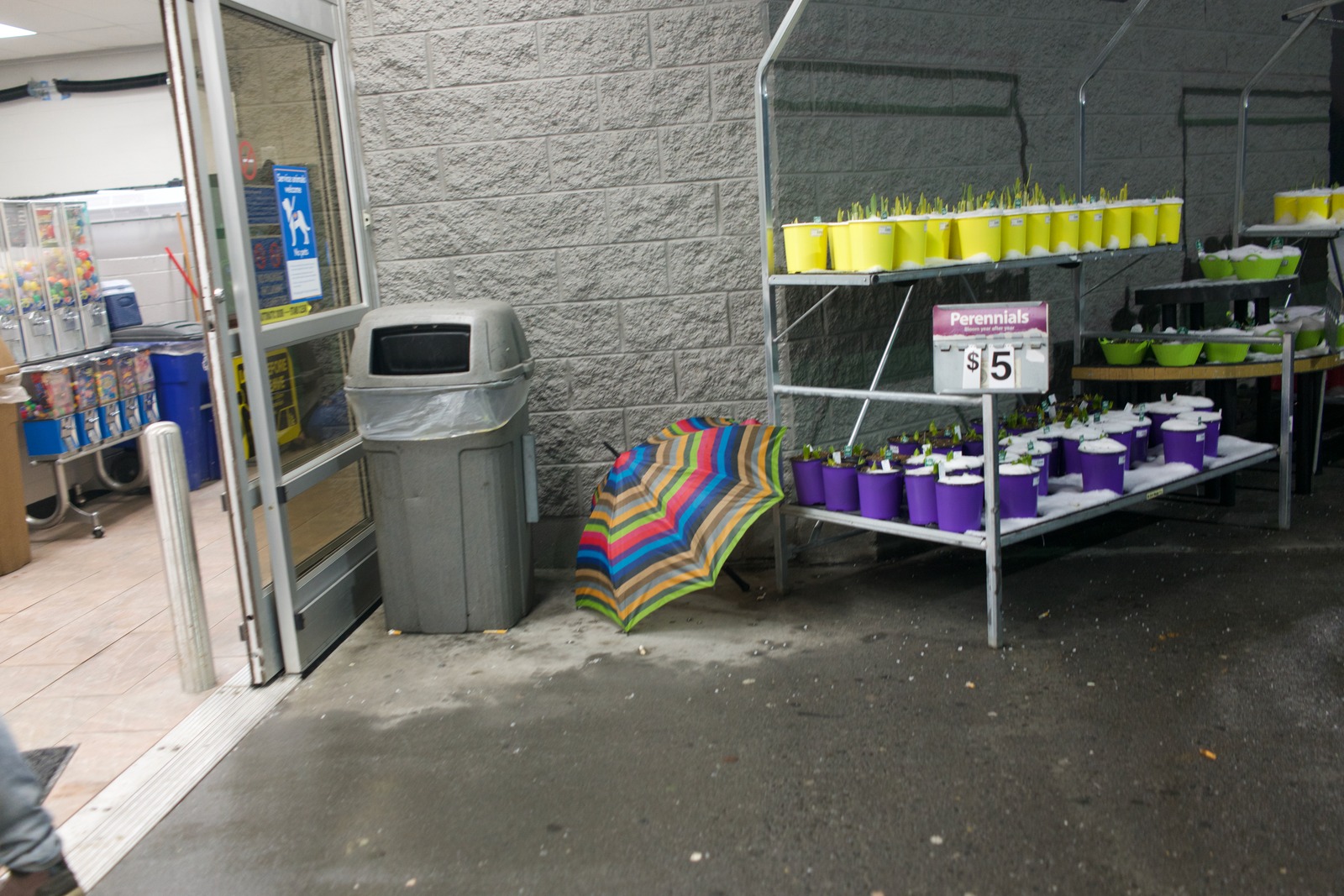 Forgotten Colors of Rain