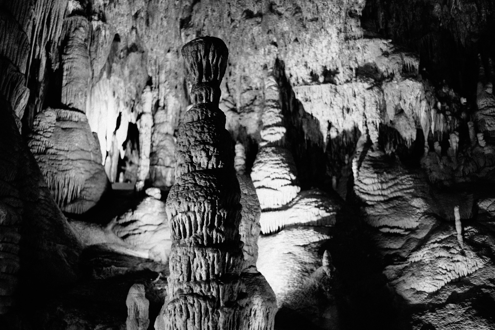 Echoes of Ancient Stone