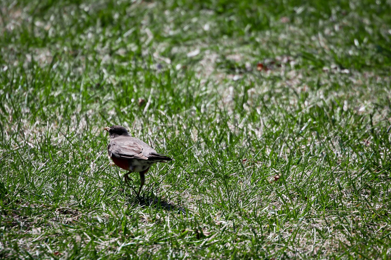 Quiet Moment in Nature