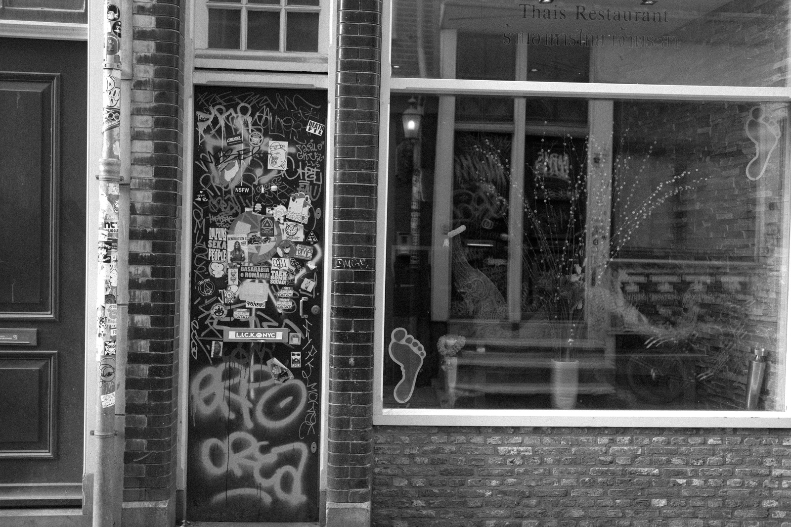 Urban Contrast: Graffiti and Serenity