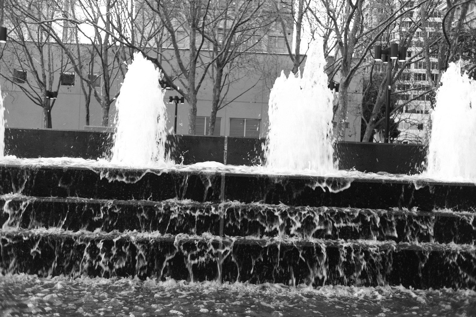 Serene Waterfall in Monochrome