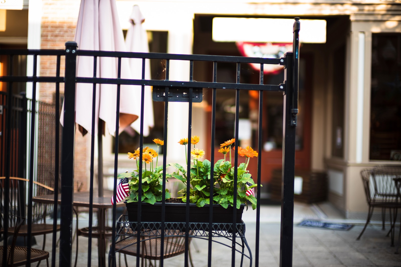 Blooming Amidst Barriers