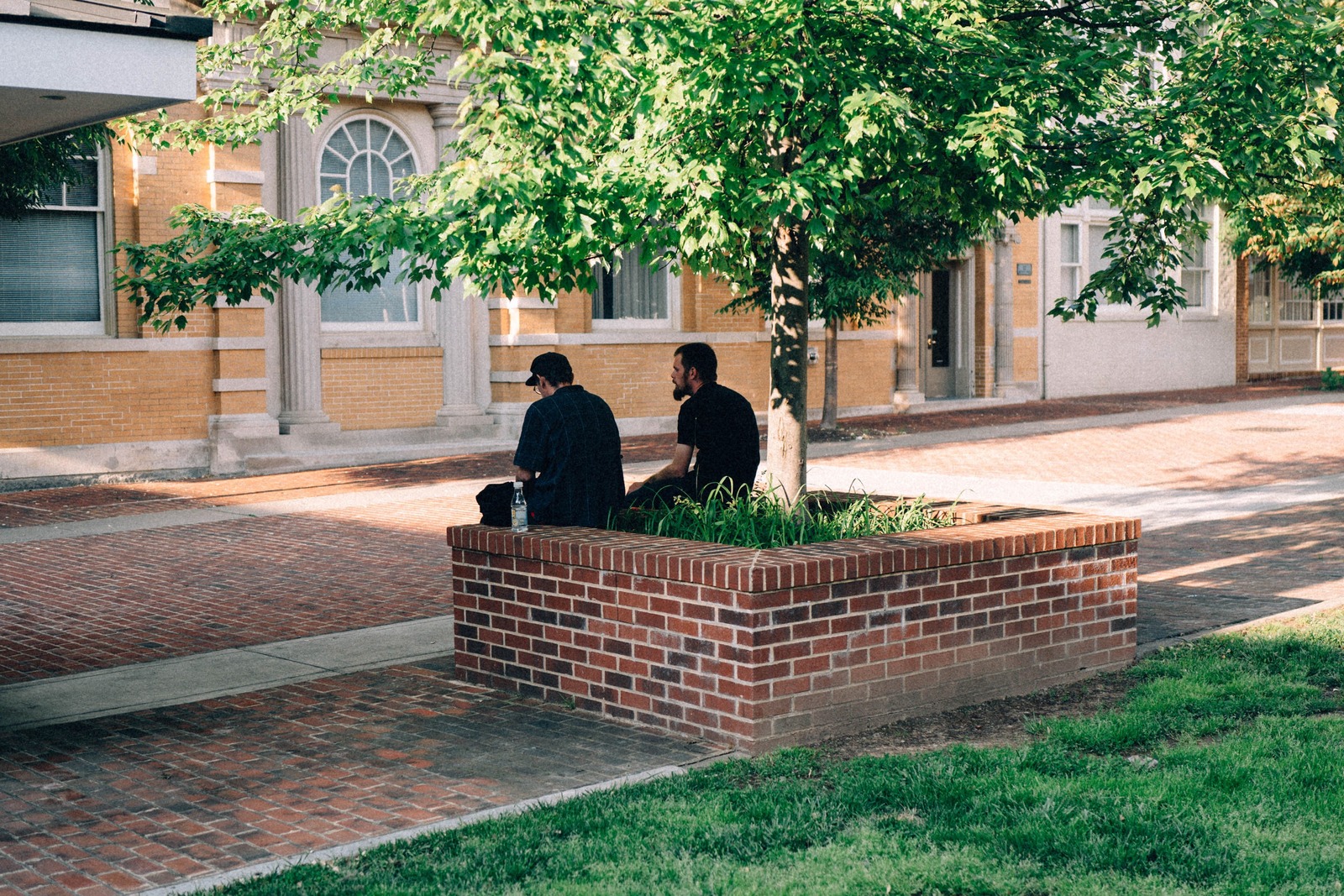 Quiet Reflections Beneath the Tree