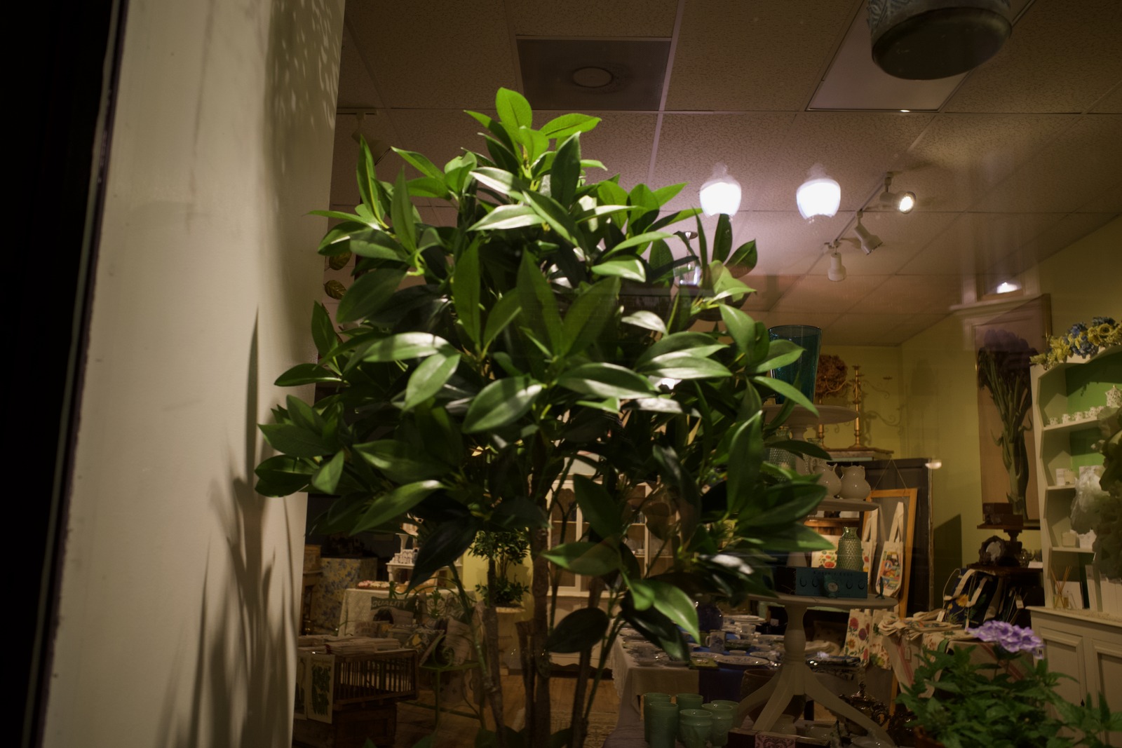 Nighttime Serenity in Green