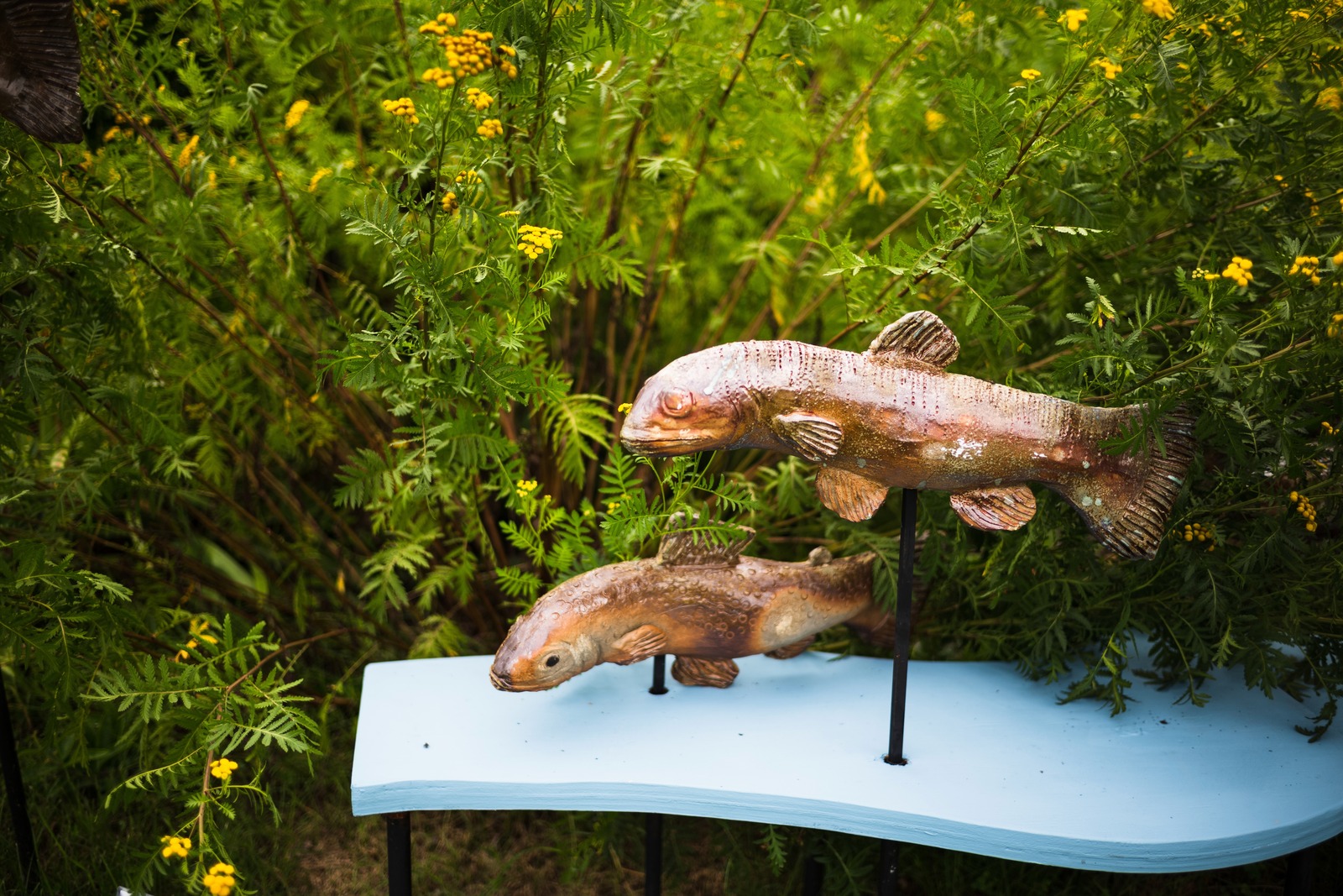 Artful Fish in Bloom