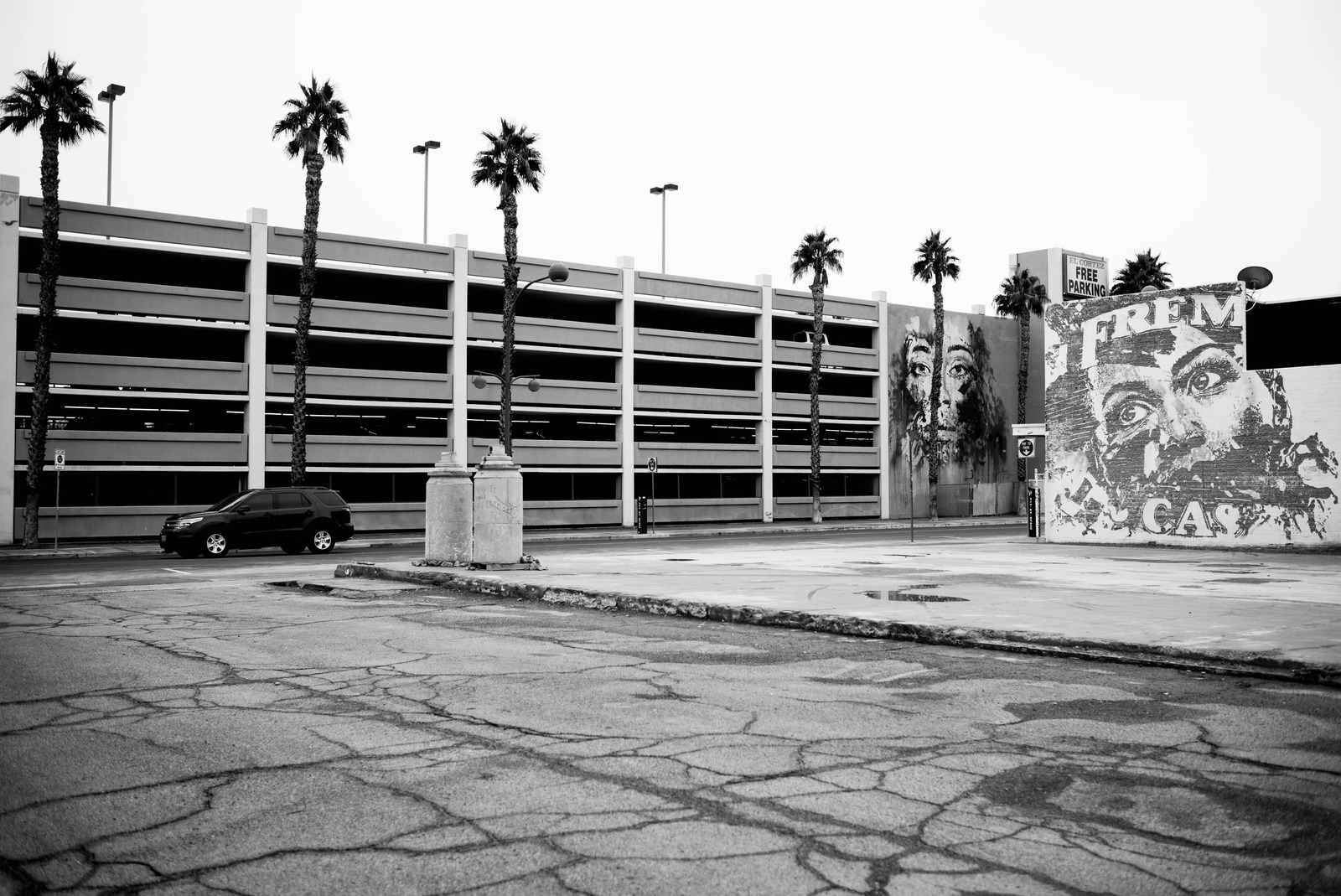 Urban Echoes in Monochrome