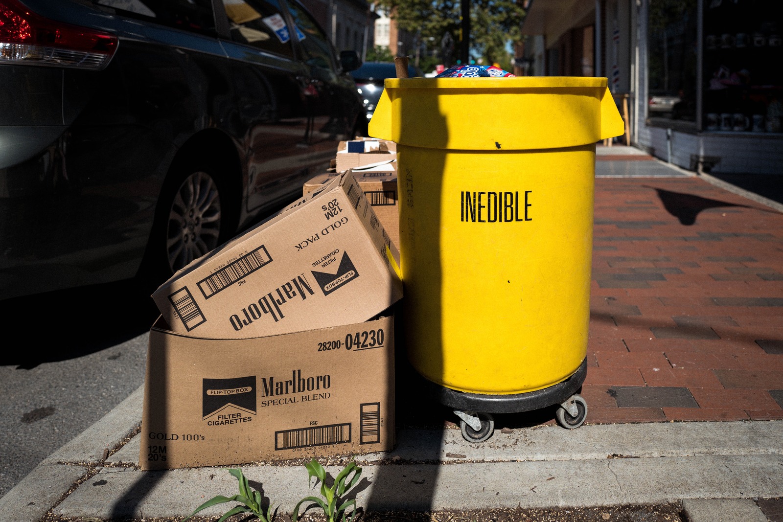 Urban Refuse