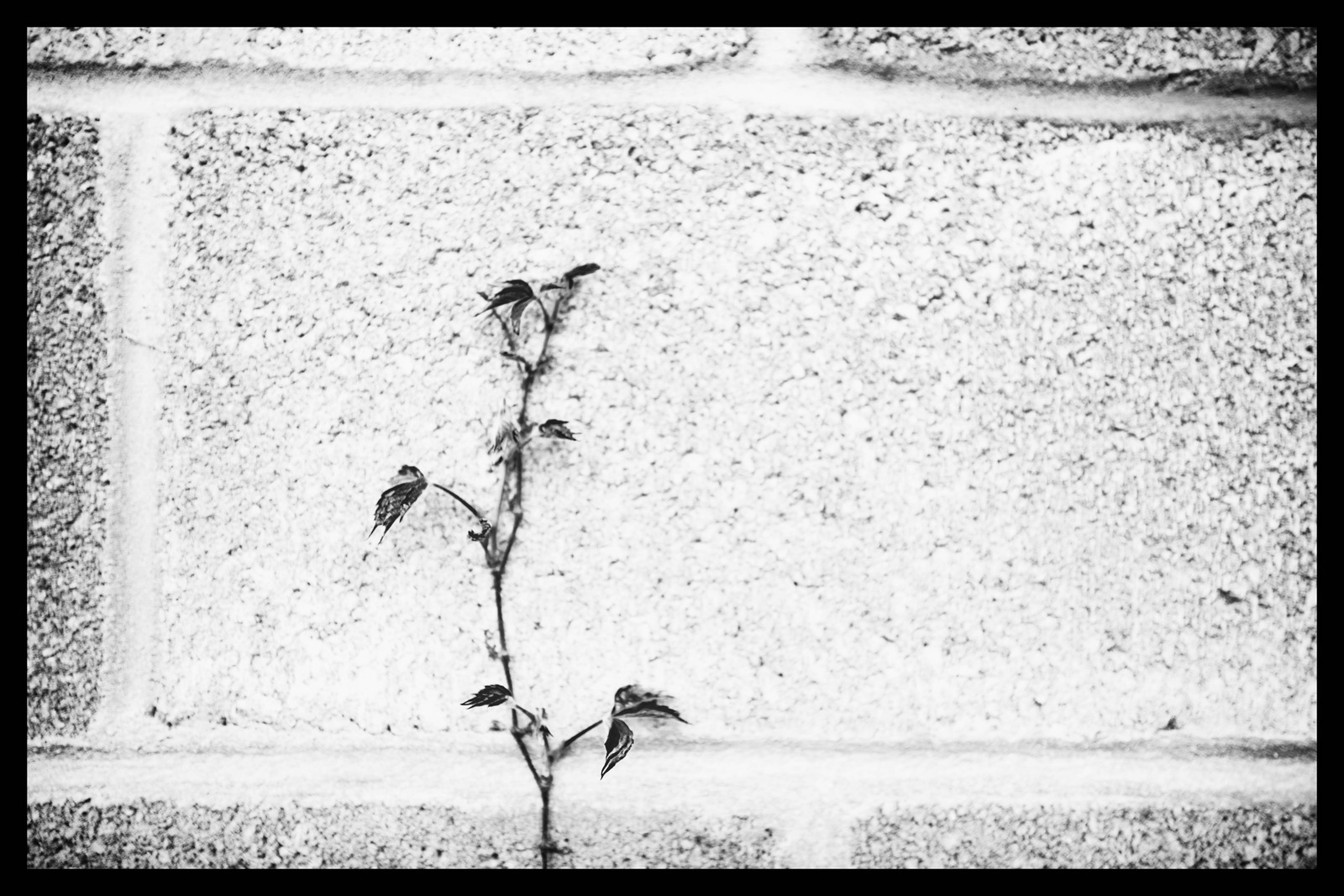 Resilience Against Concrete