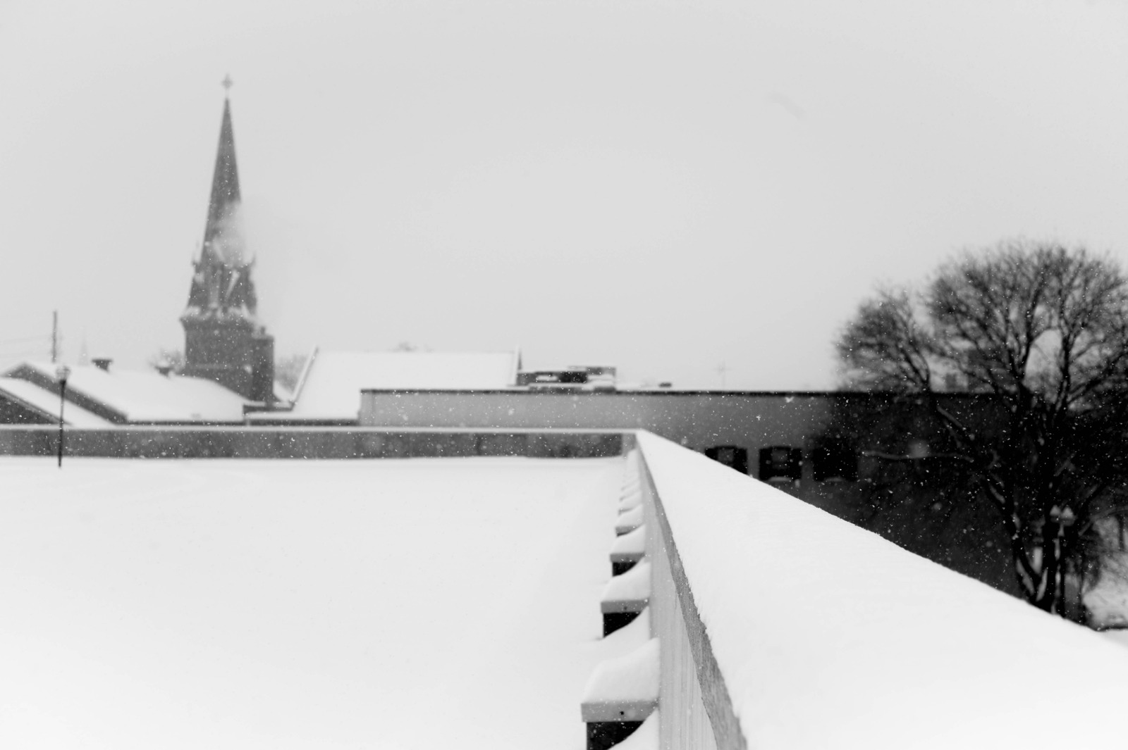 Silent Winter Reverie