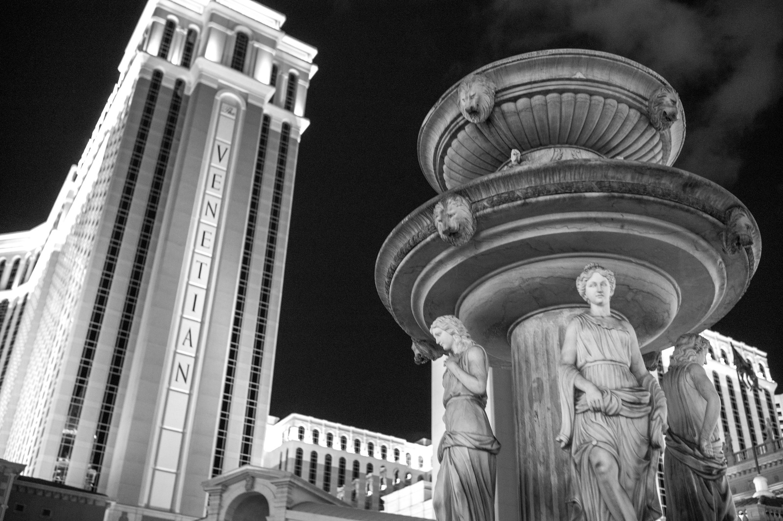 Elegant Urban Contrast