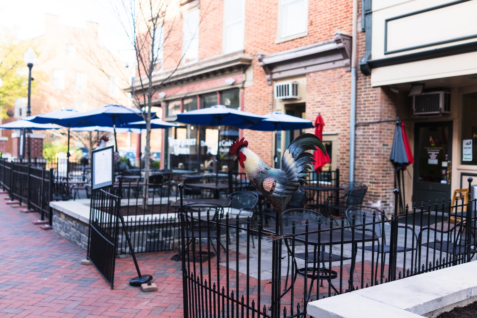 Urban Rooster Sentinel