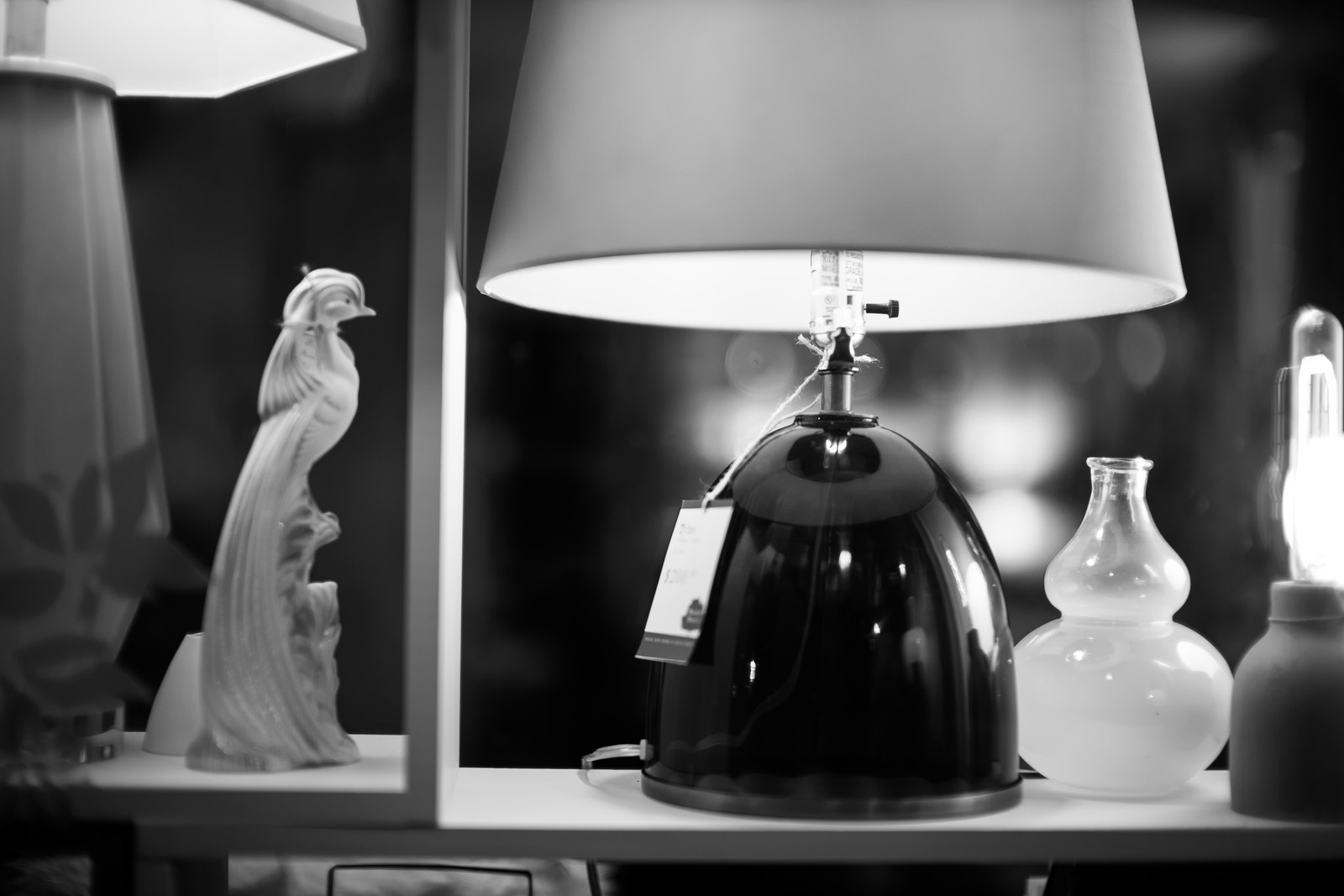 Still Life in Monochrome