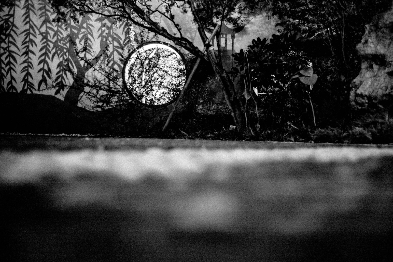 Reflections in Shadows