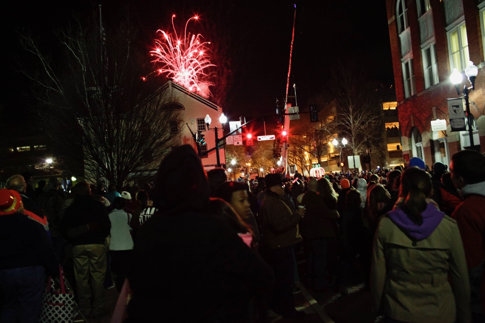 Celebration Under Fireworks