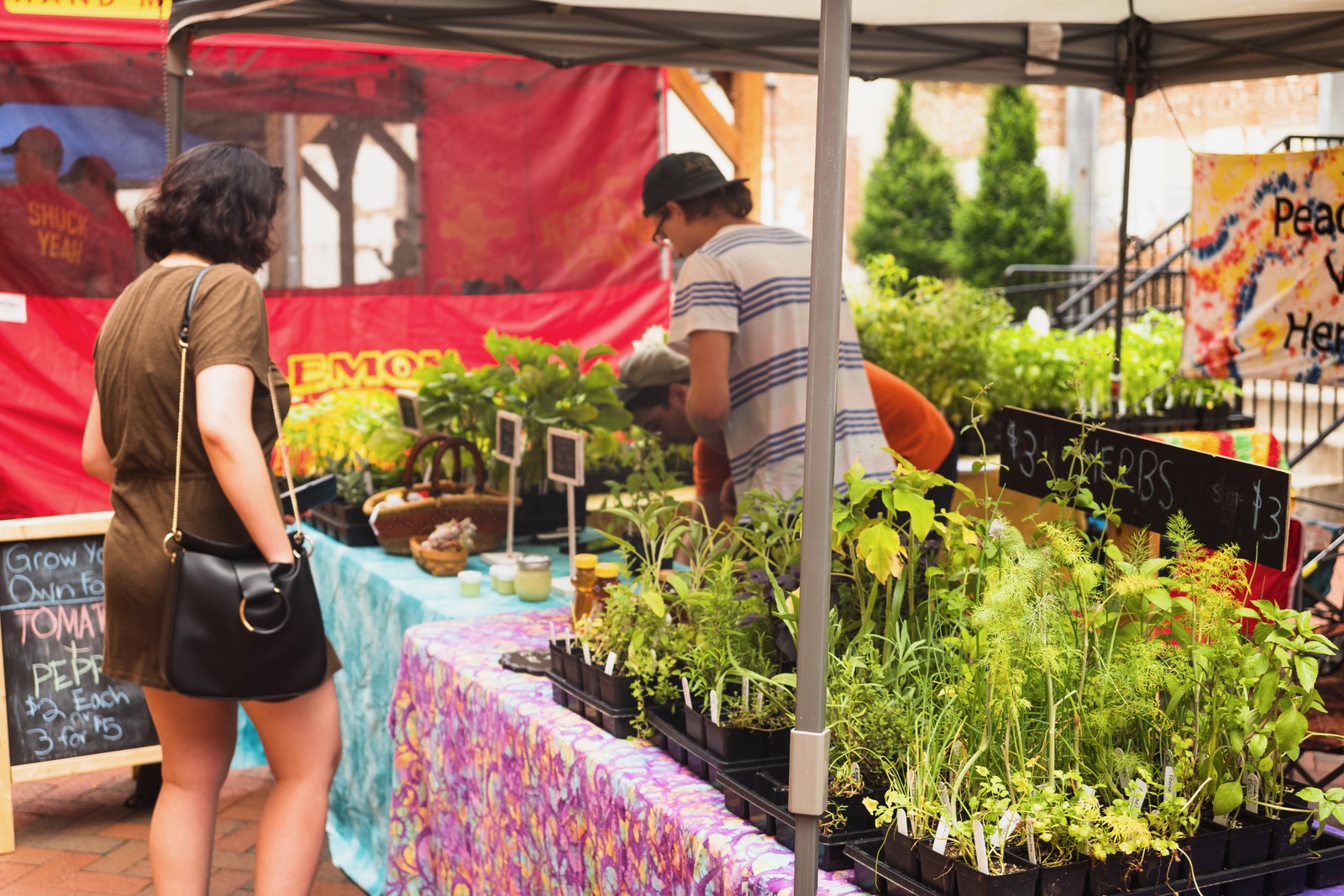 Vibrant Market Explorations