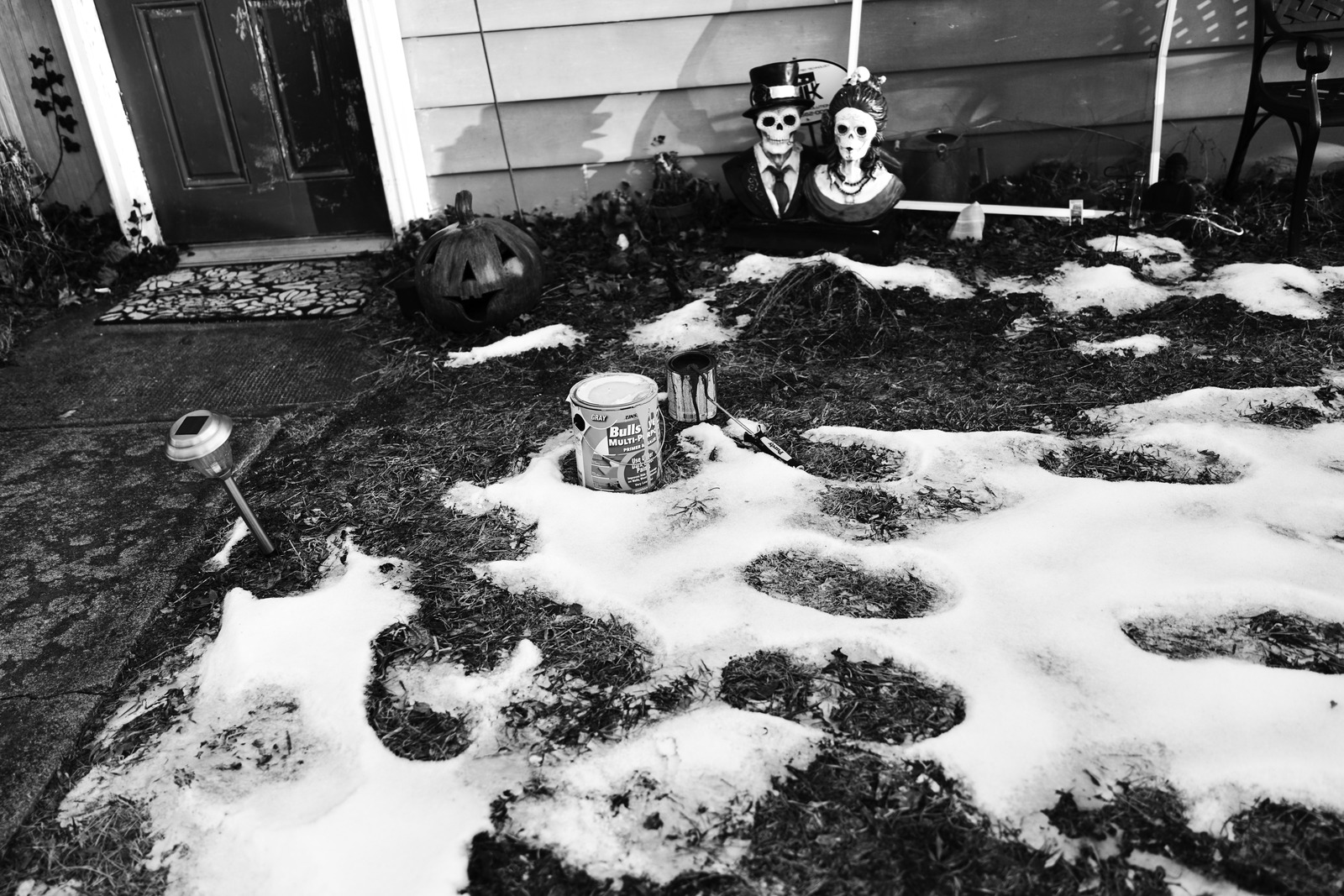 Haunting Winter Remnants