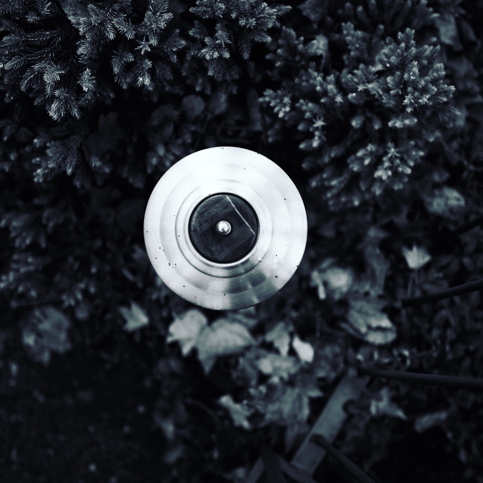 Reflections of Nature