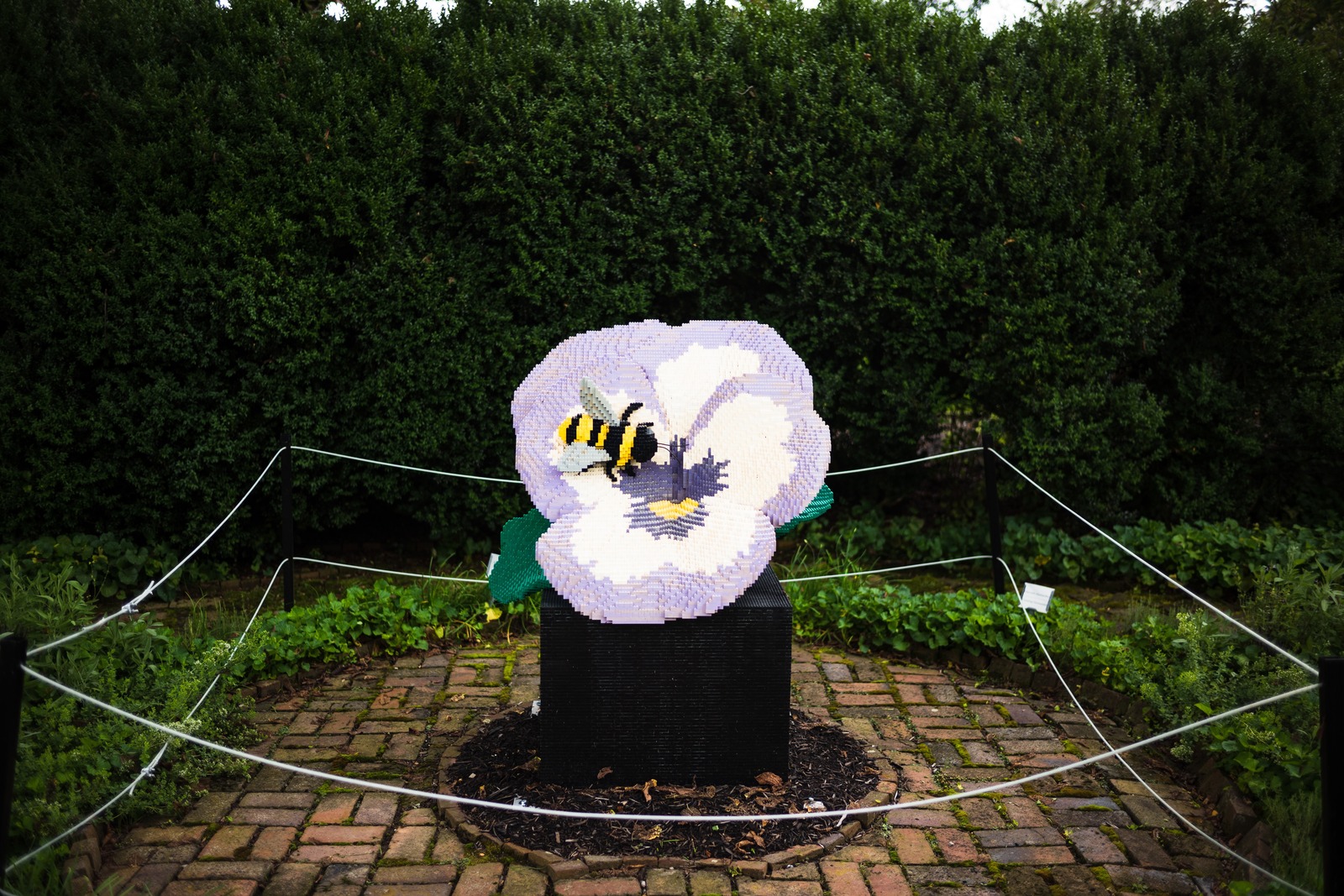 Whimsical Nature in Color