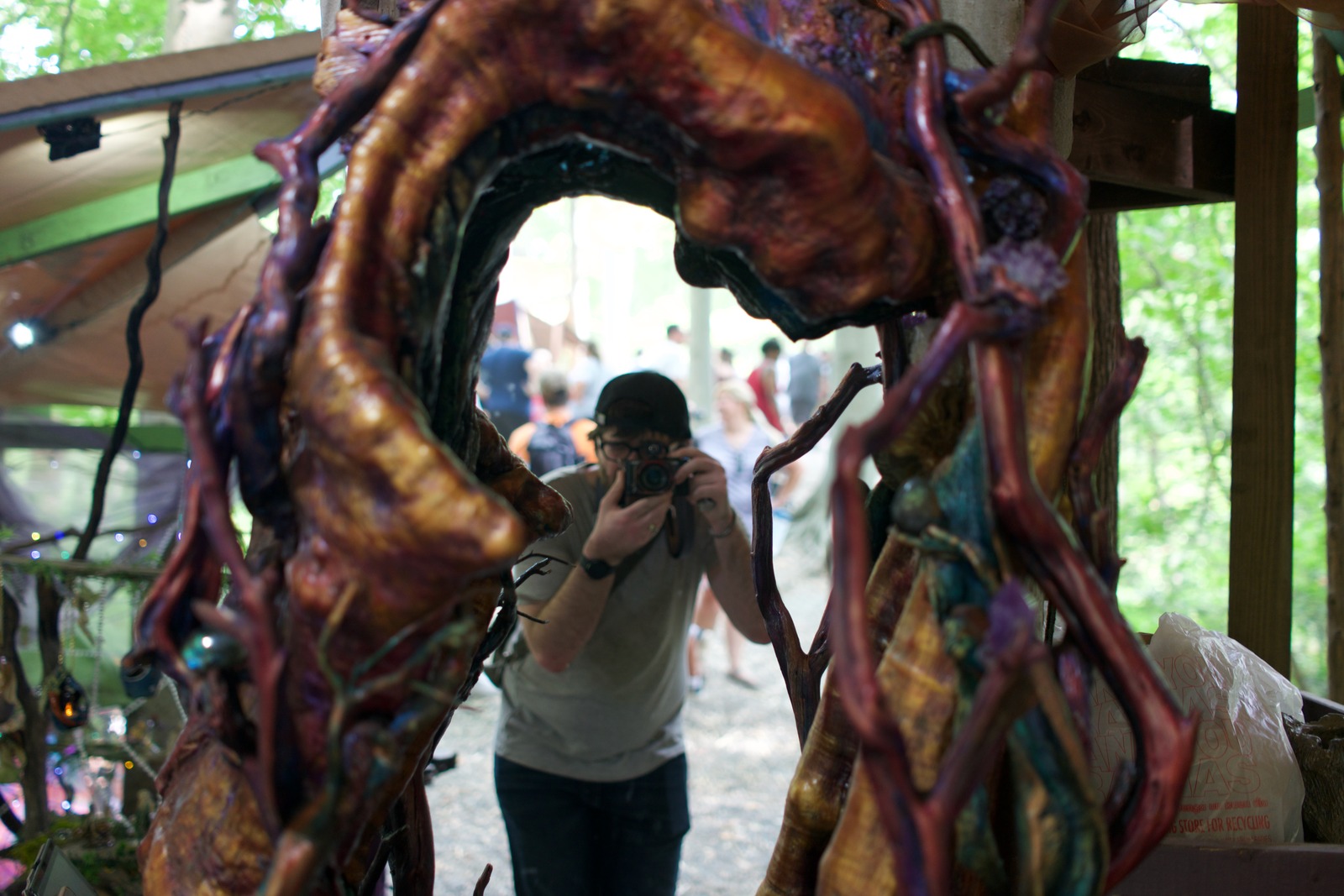 Reflections in Nature