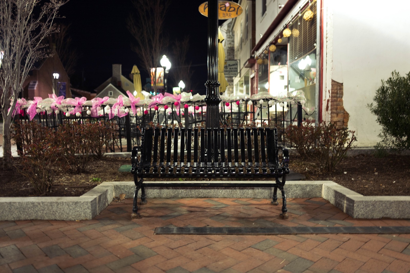 Silent Night in the Park