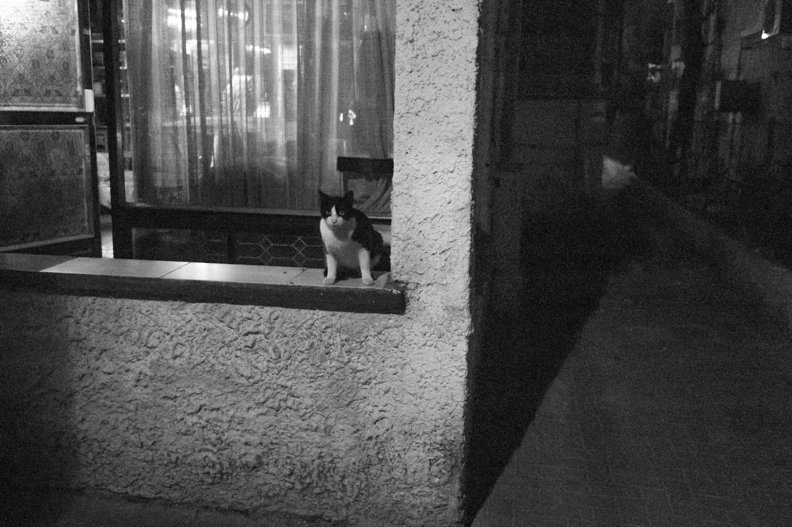 Silent Night Watcher