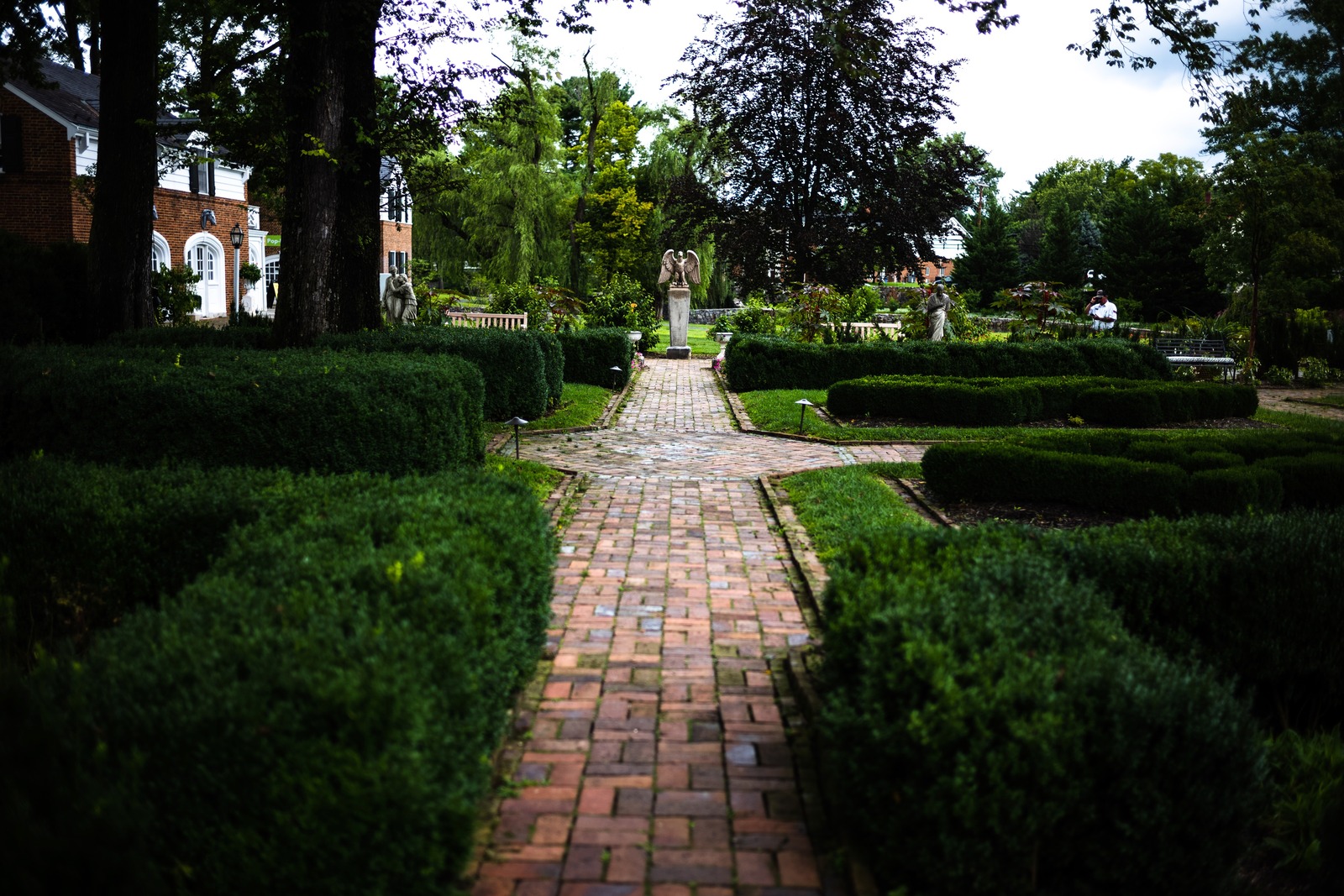 Tranquil Garden Pathway