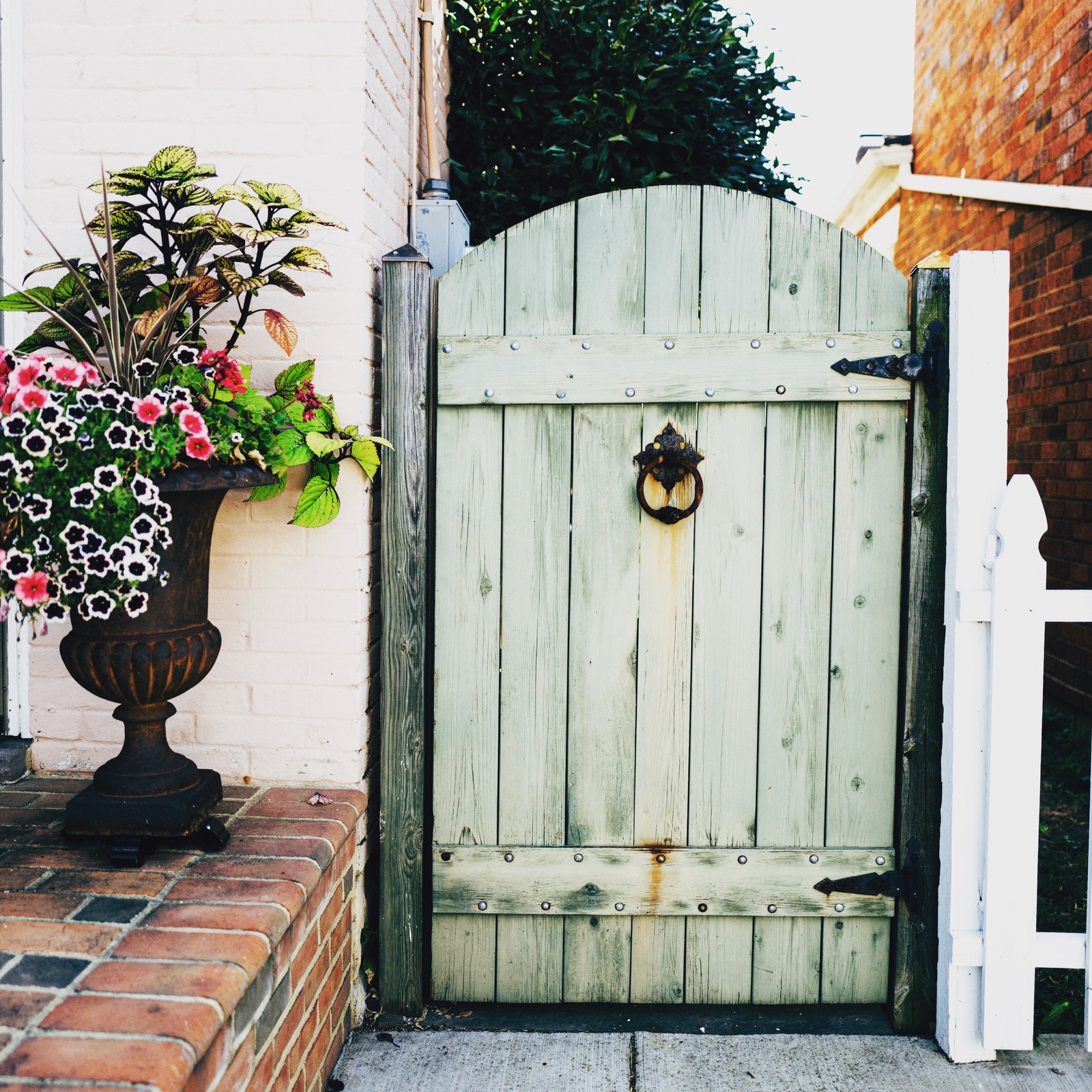 The Enchanted Entrance