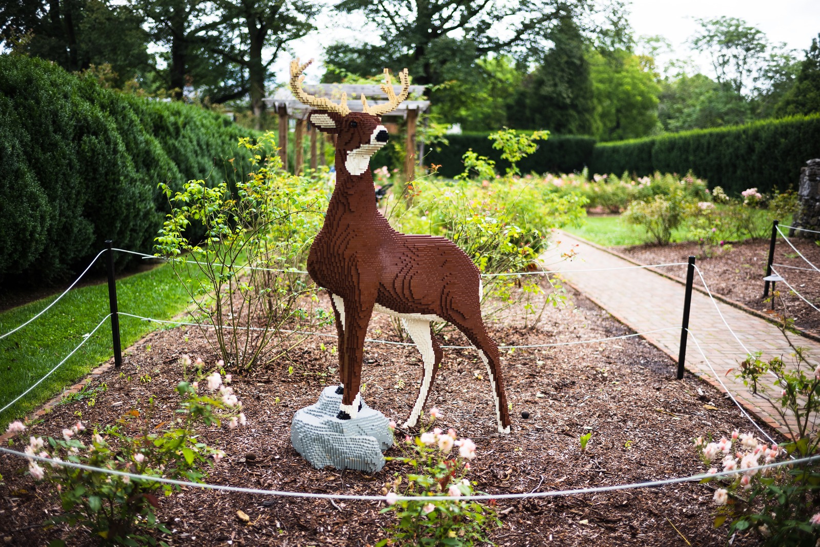 Lego Deer in Serenity