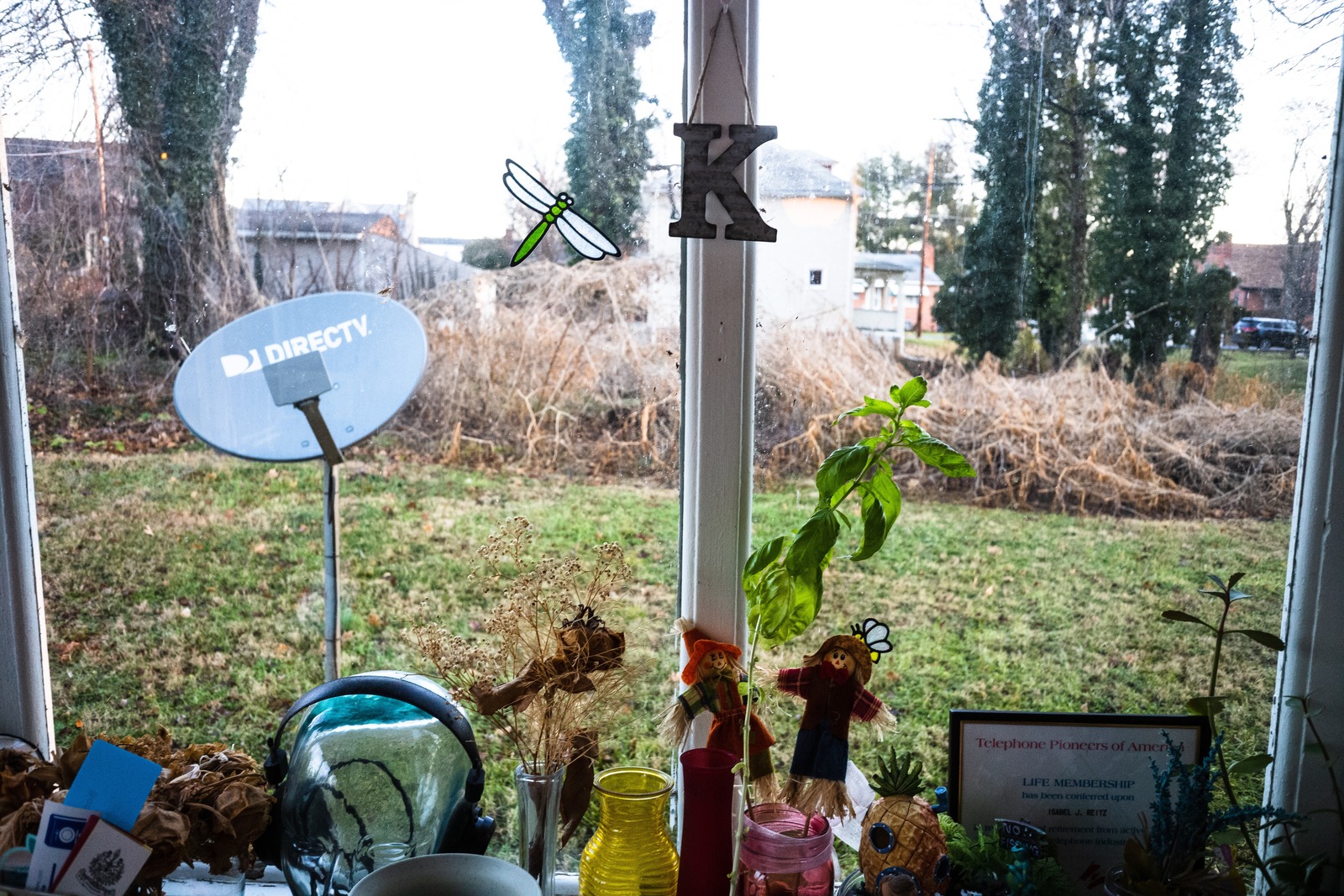 Through the Window's Frame