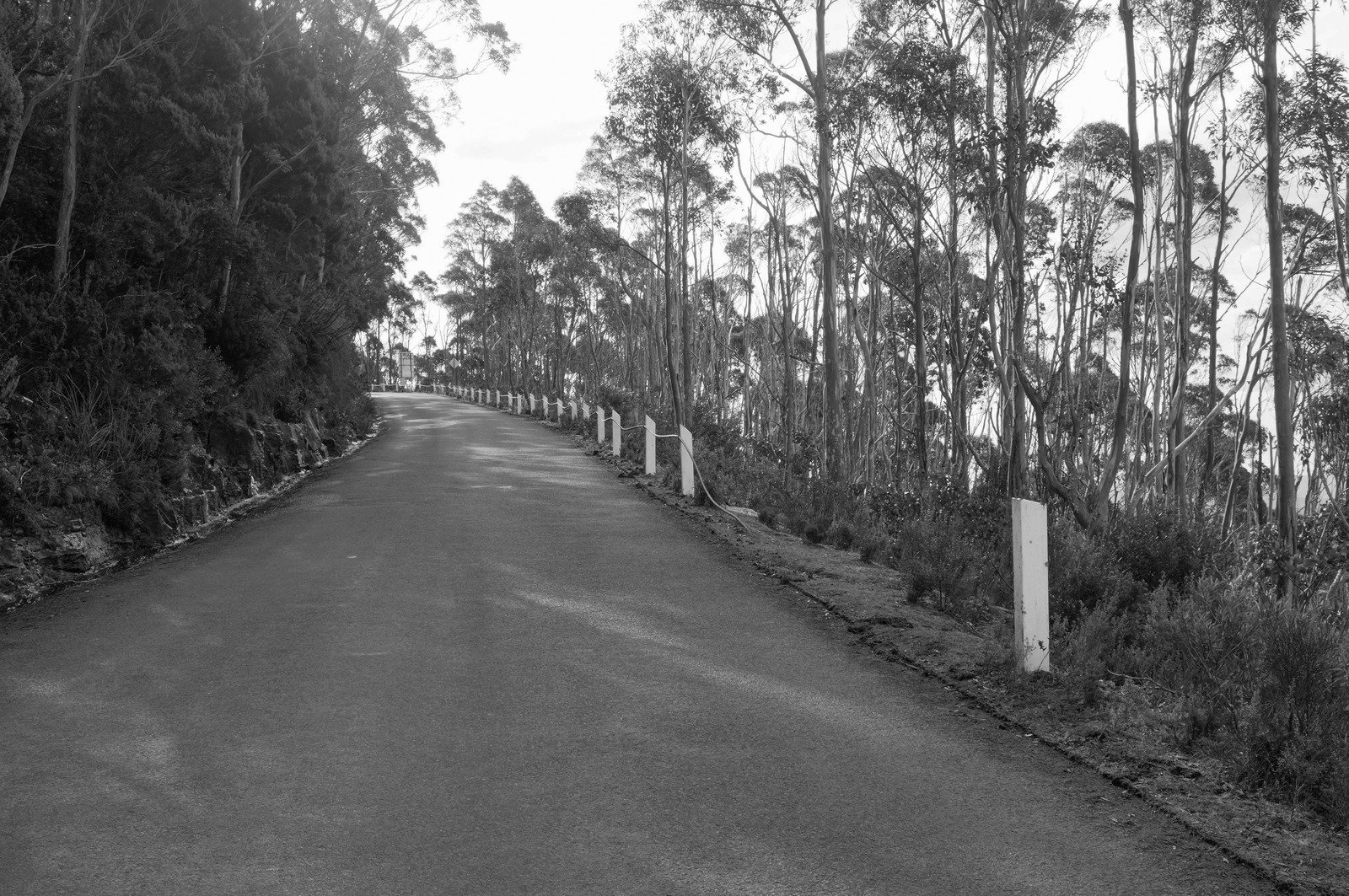 Winding Path in Monochrome
