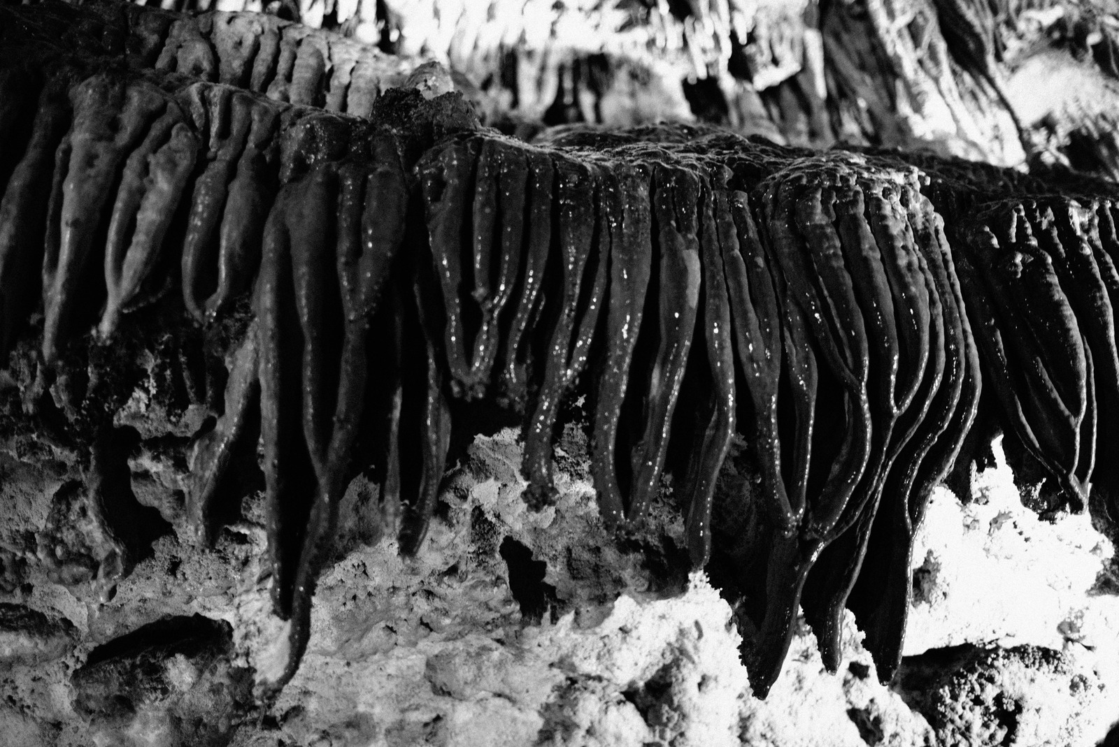 Mystical Stalactite Formation