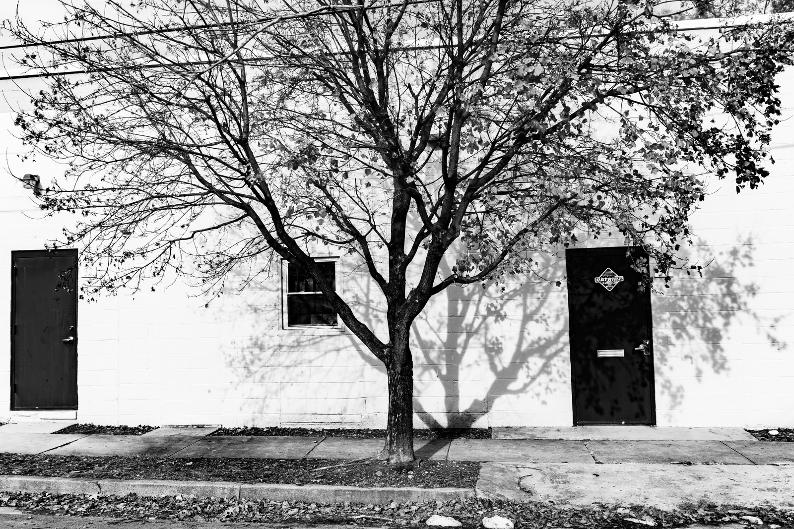 Silent Shadows of Autumn