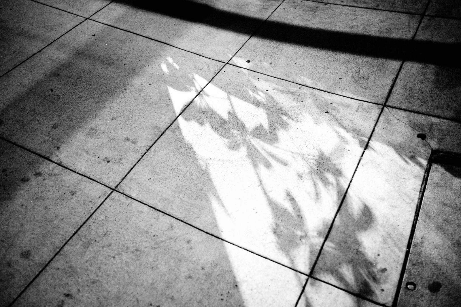 Shadows on Concrete