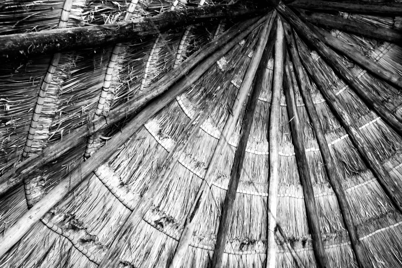 Patterns of Nature's Roof