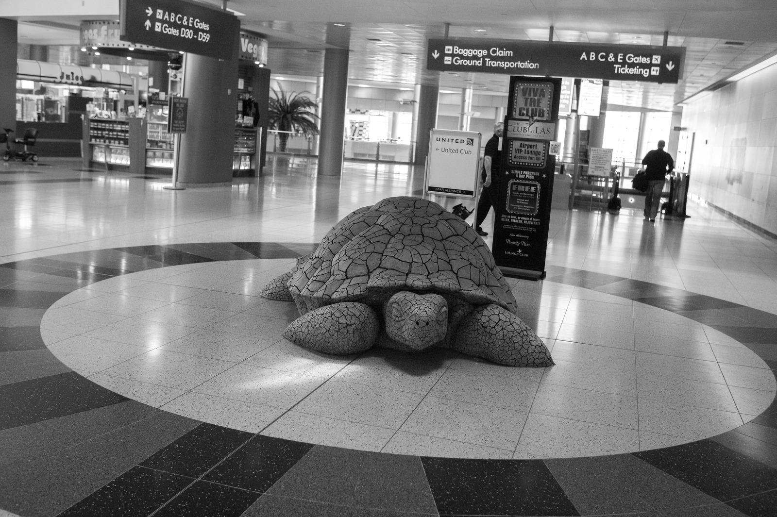 Quiet Encounter in the Terminal