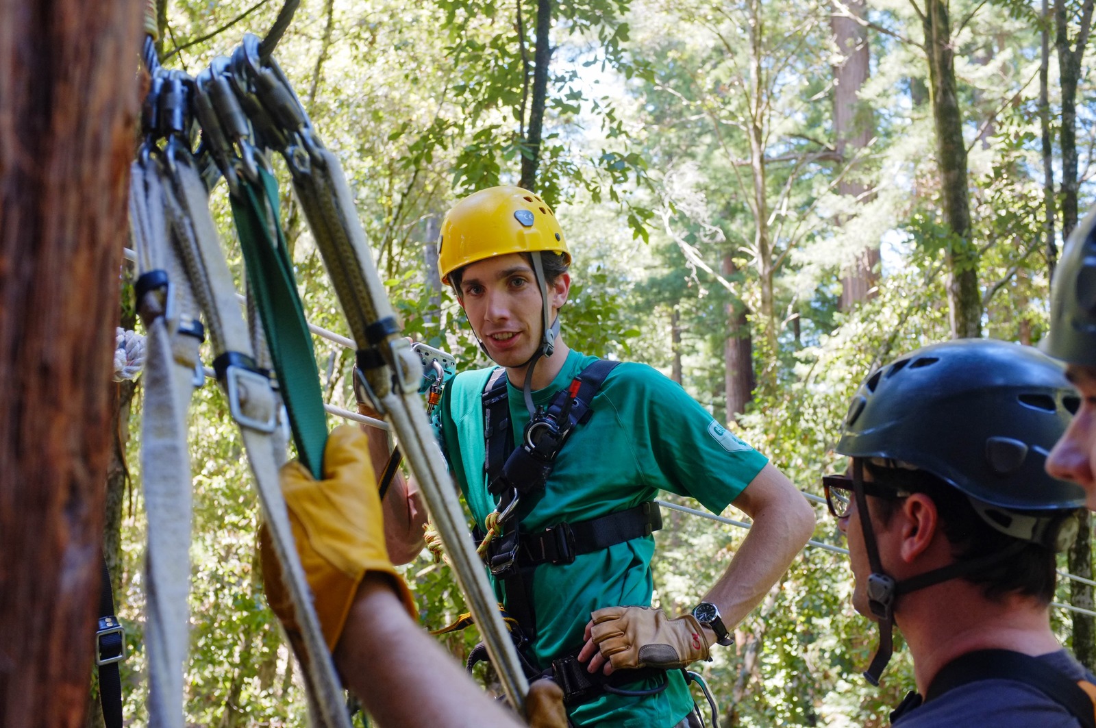 Adventure Awaits in the Canopy