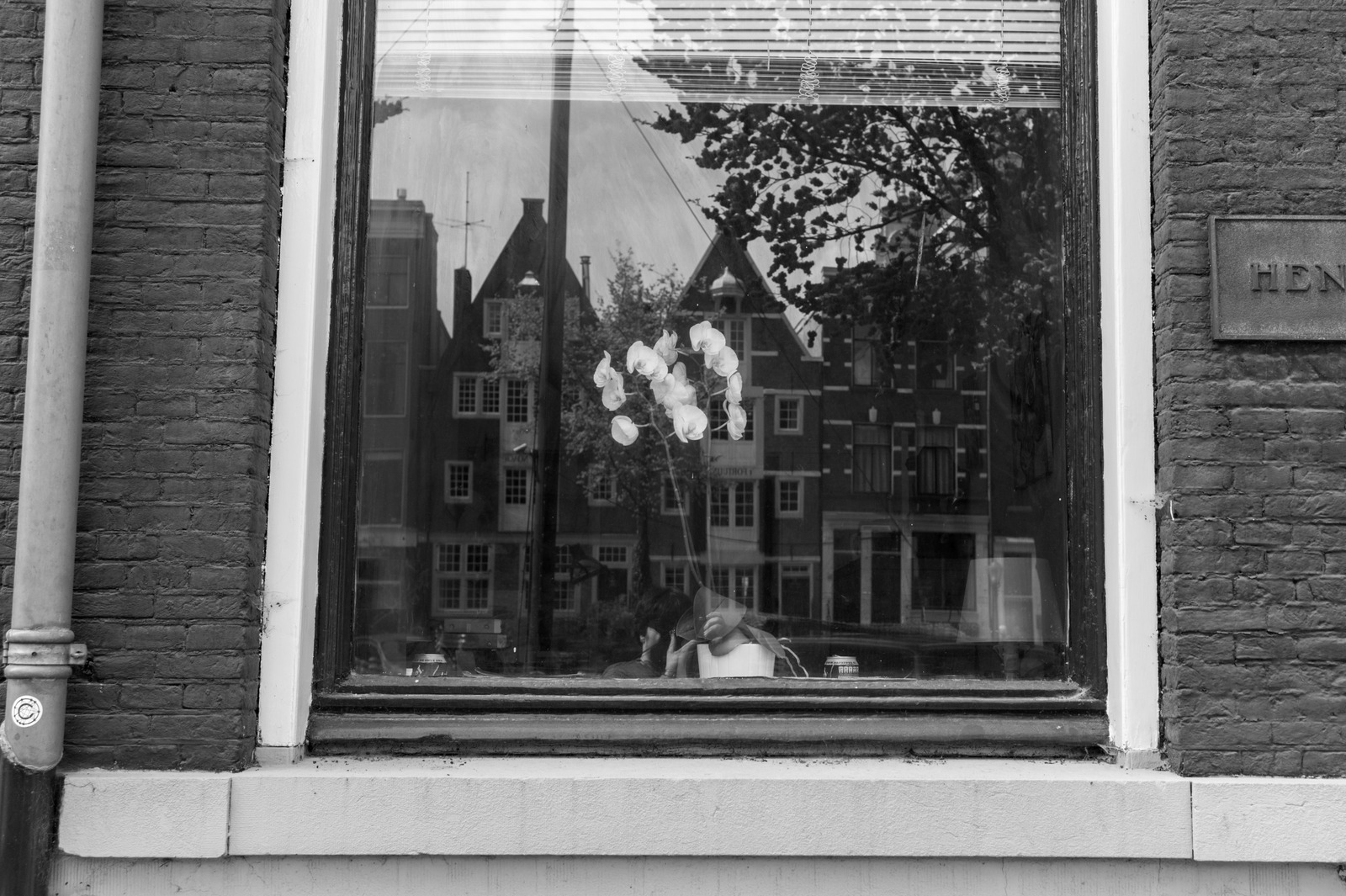 Reflections in the Window