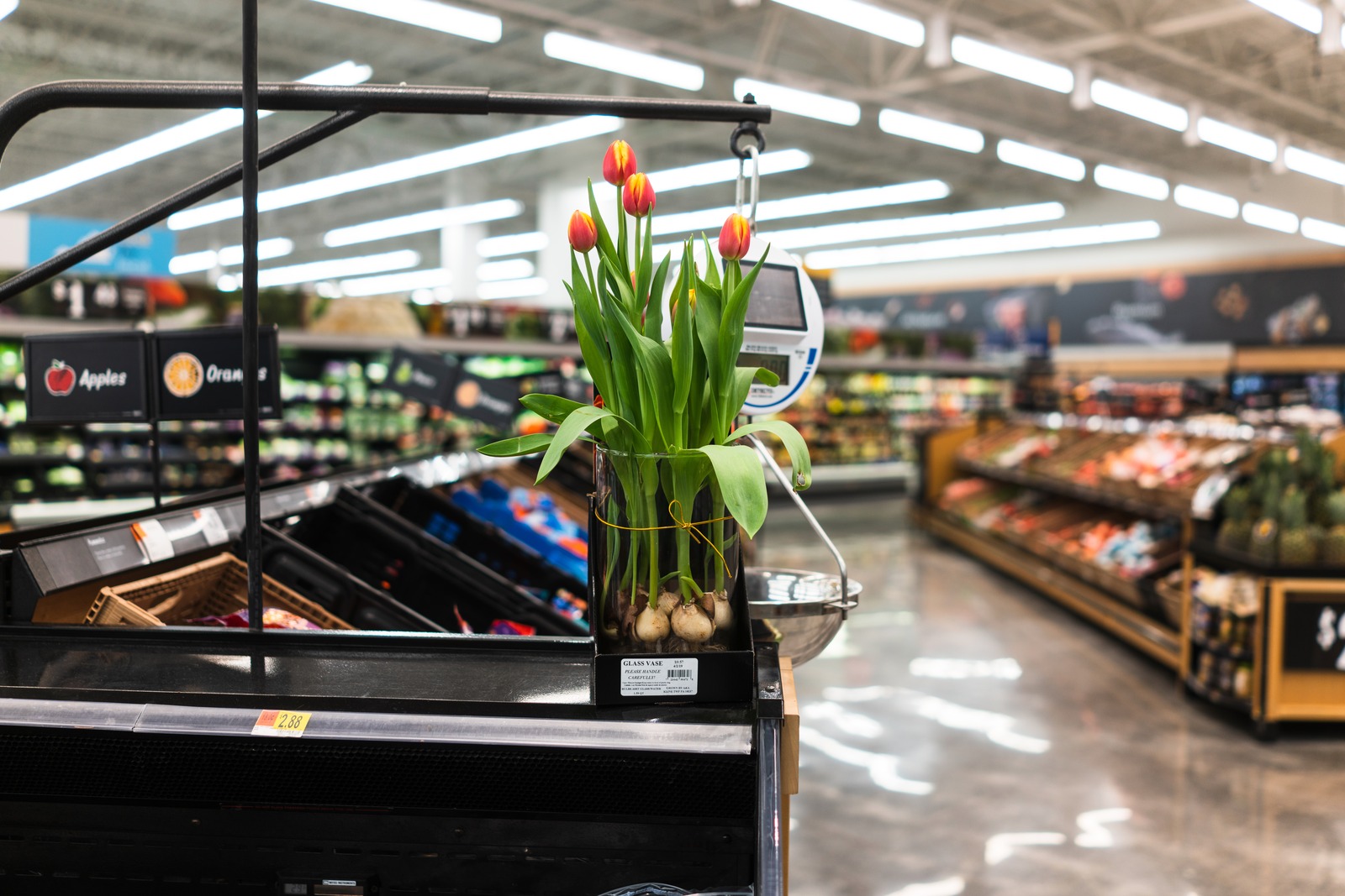 Vibrant Grocery Serenity