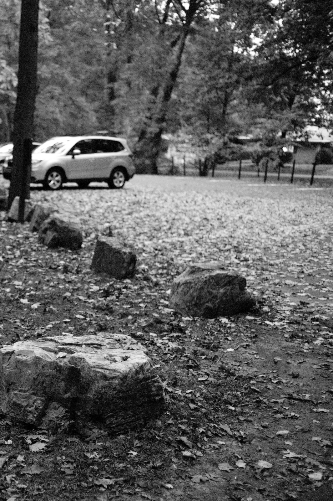 Quiet Autumn Reflection