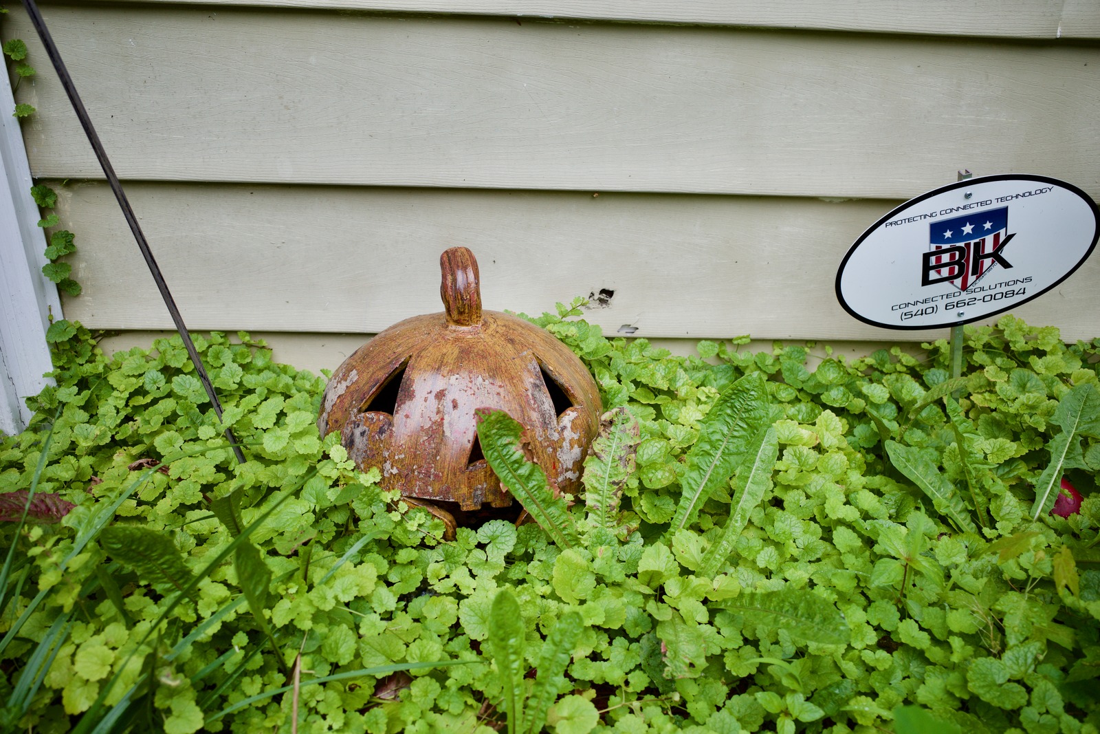 Forgotten Garden Decoration