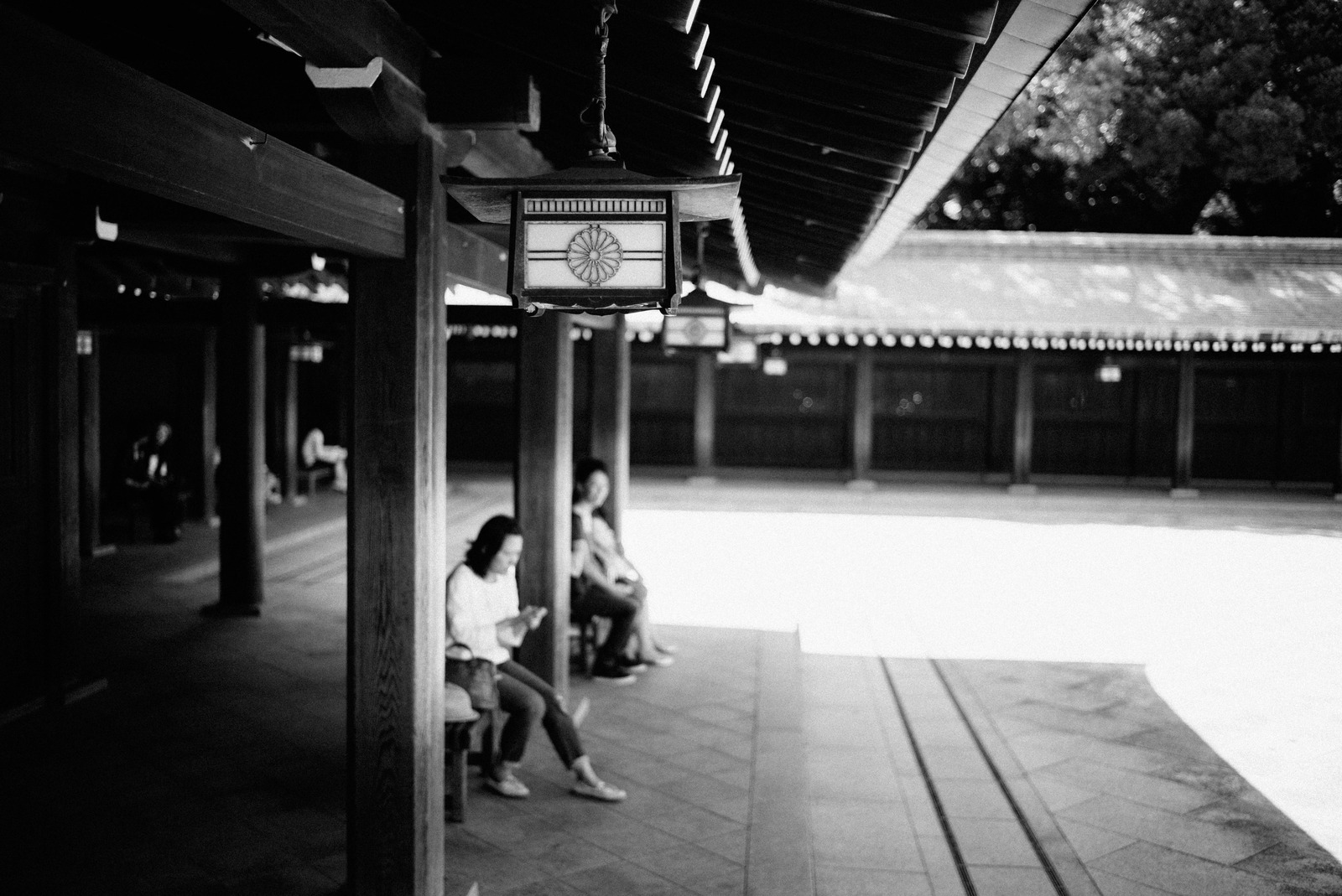 Quiet Moments of Reflection