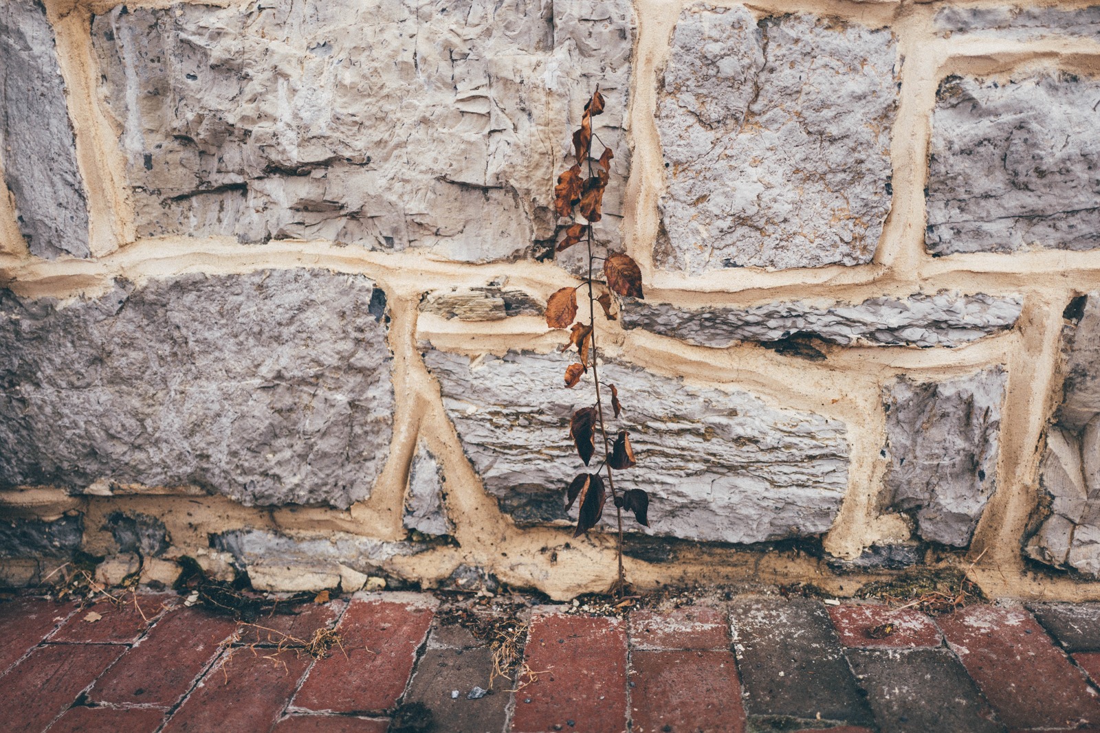 Resilience Against Stone