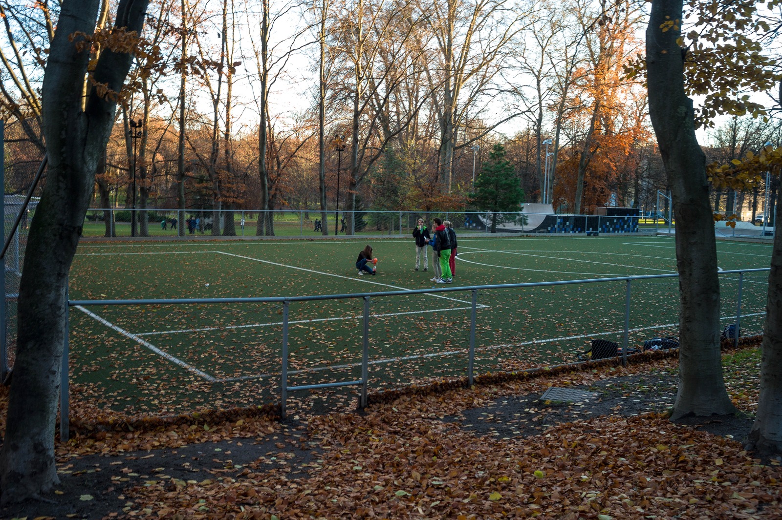 Autumn on the Field