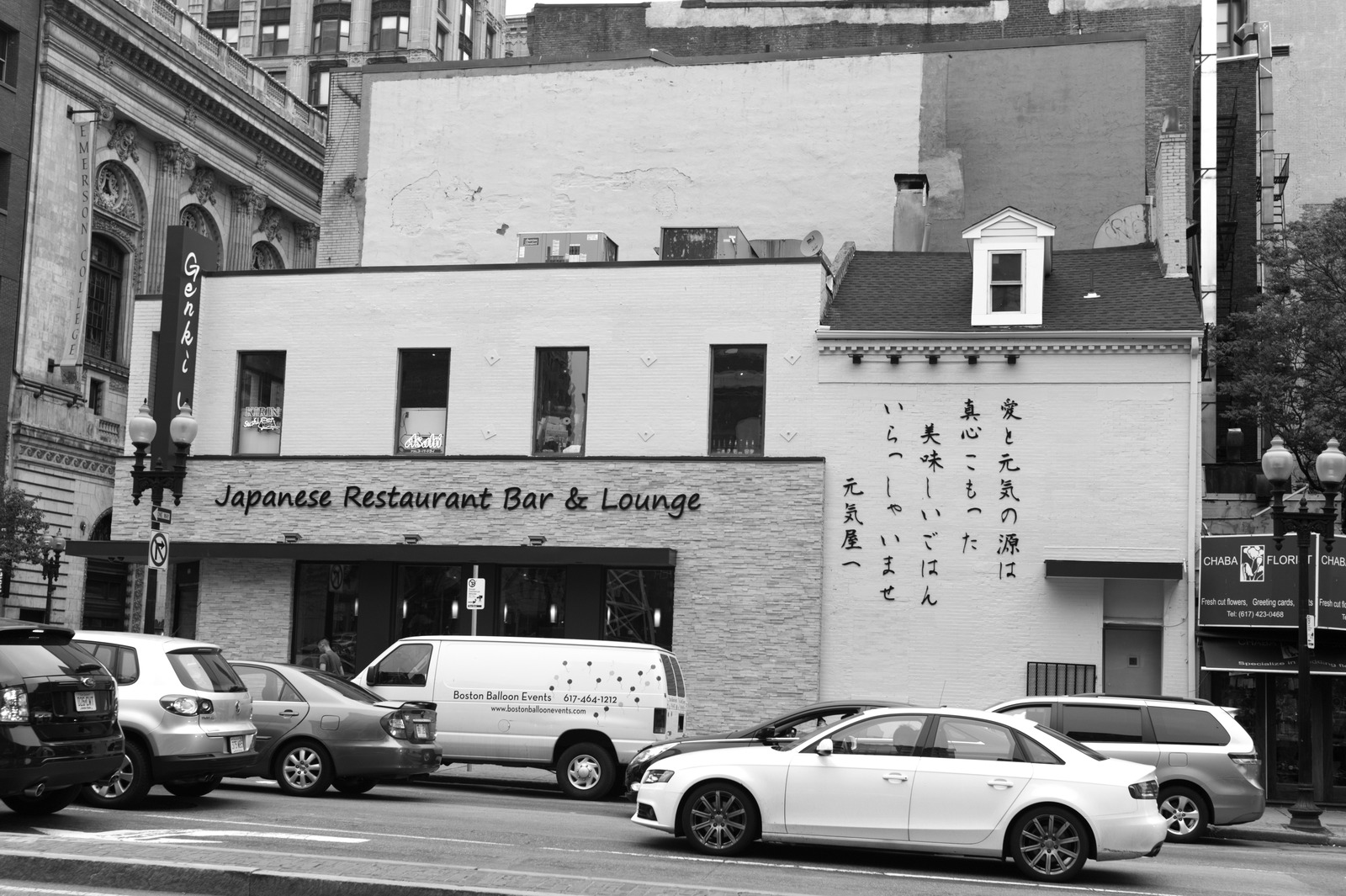 Urban Serenity in Monochrome